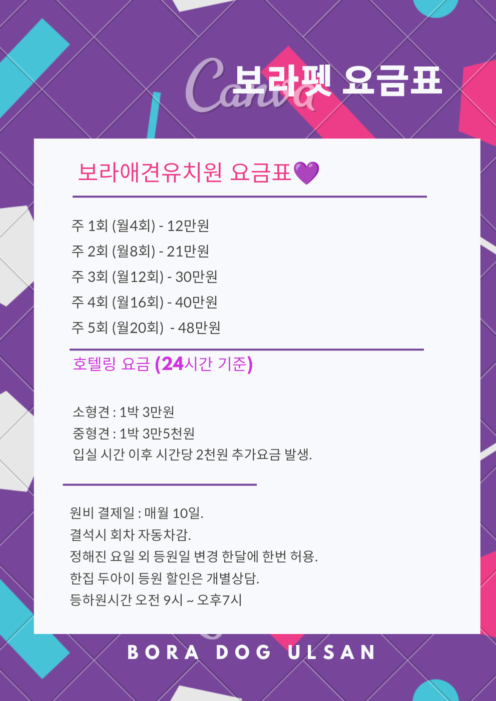 보라펫