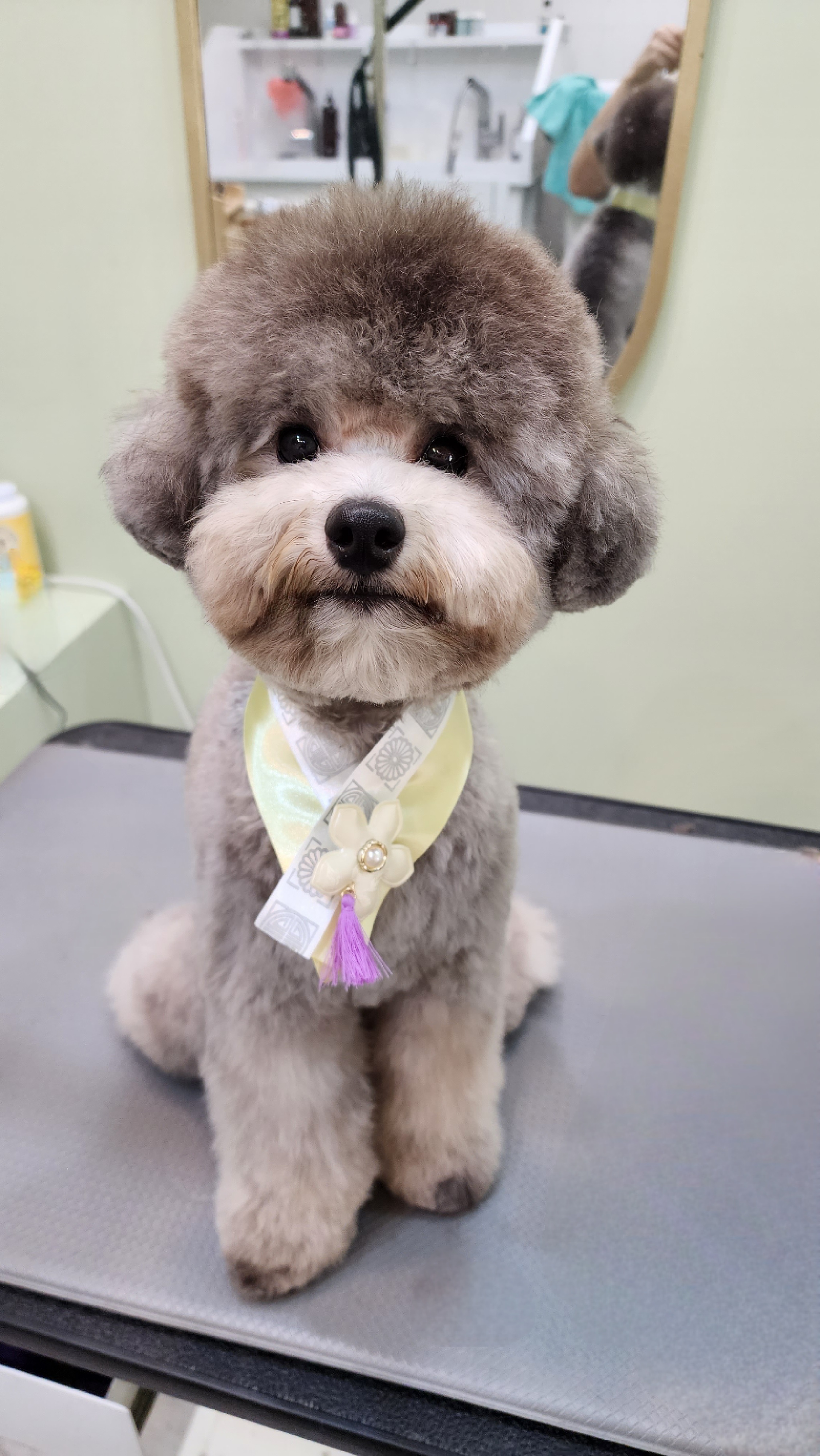 그루밍스토리 대표 이미지