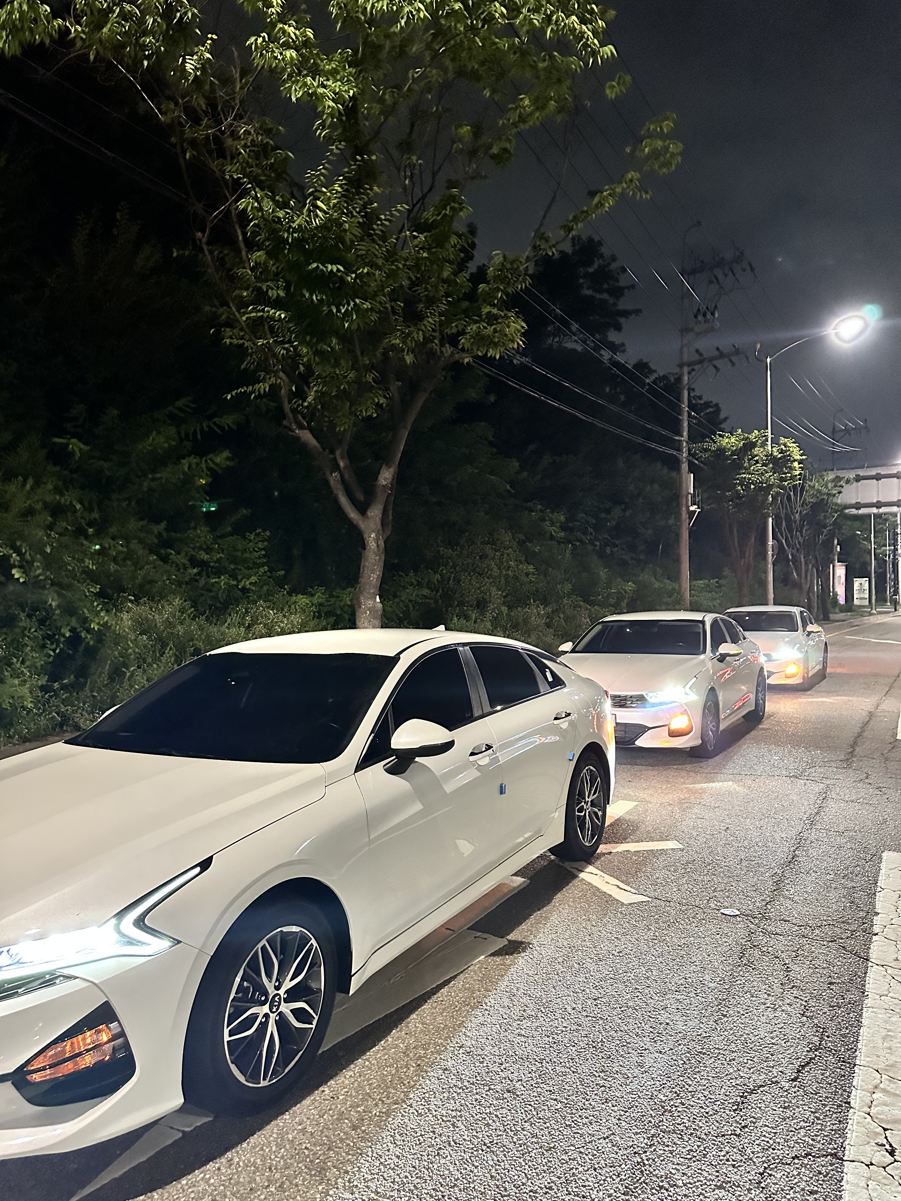 유성렌트카 홍대영업소