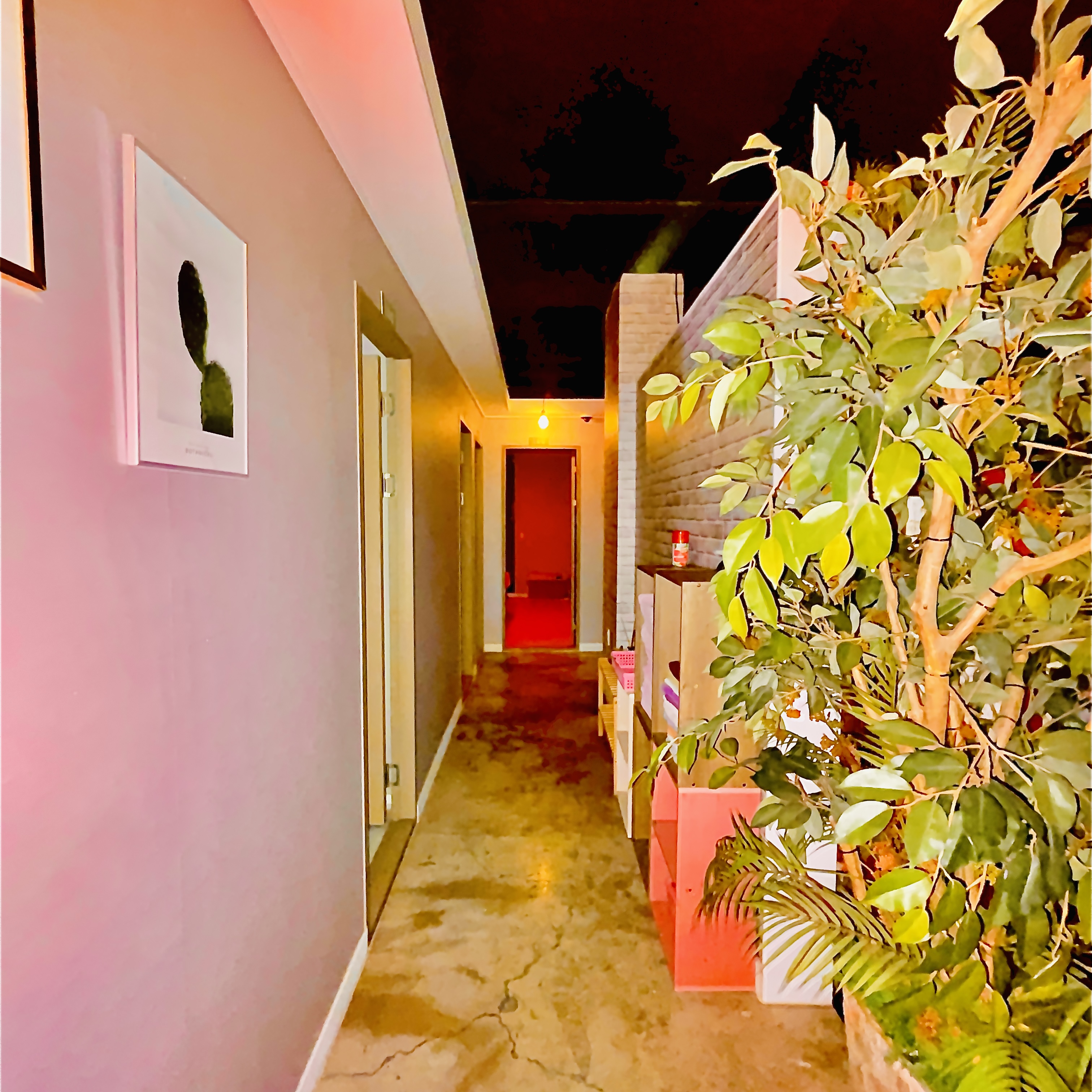 황금피부관리 photo 9