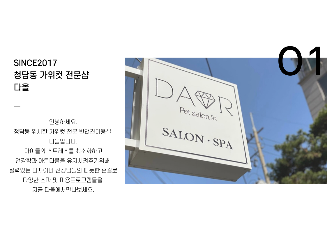 다올 대표 이미지