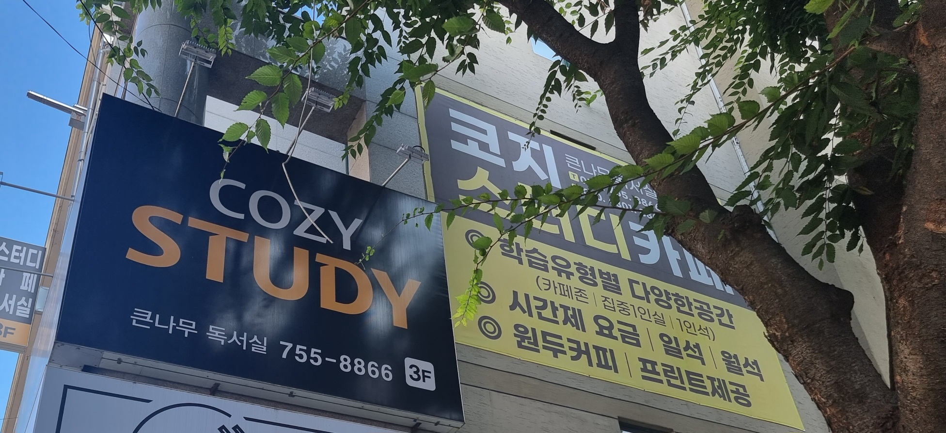 코지스터디 대표이미지