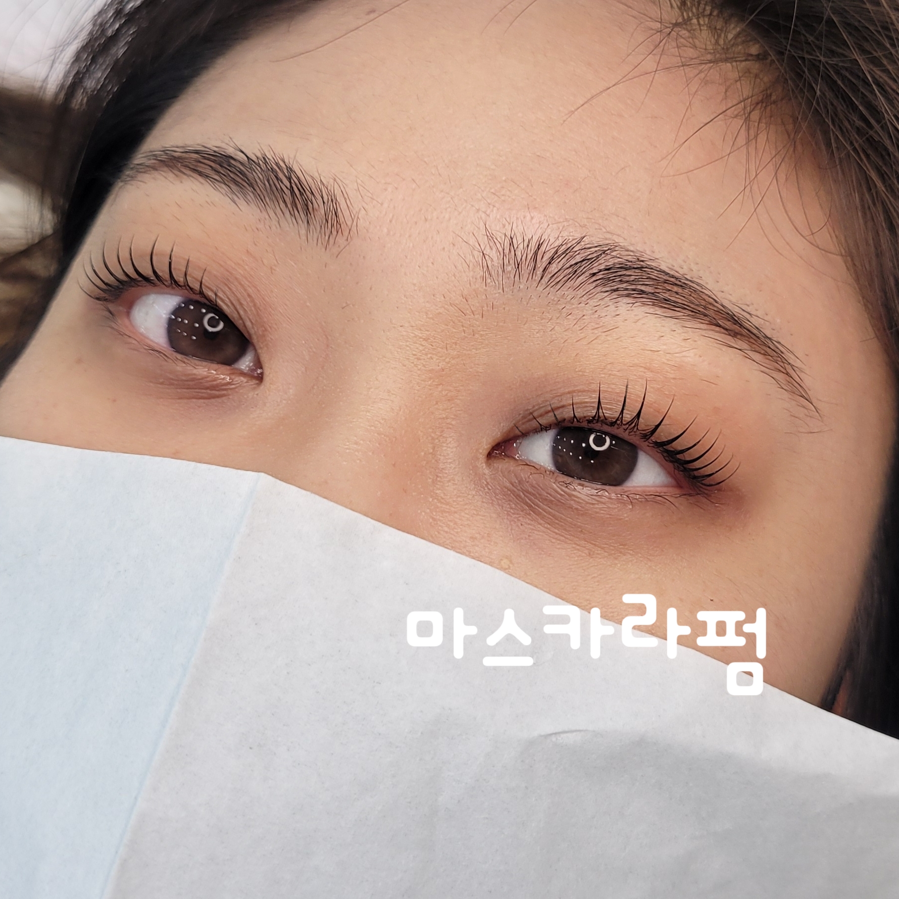 모든브로우
