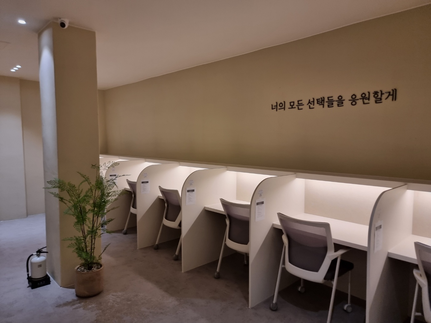 업체사진