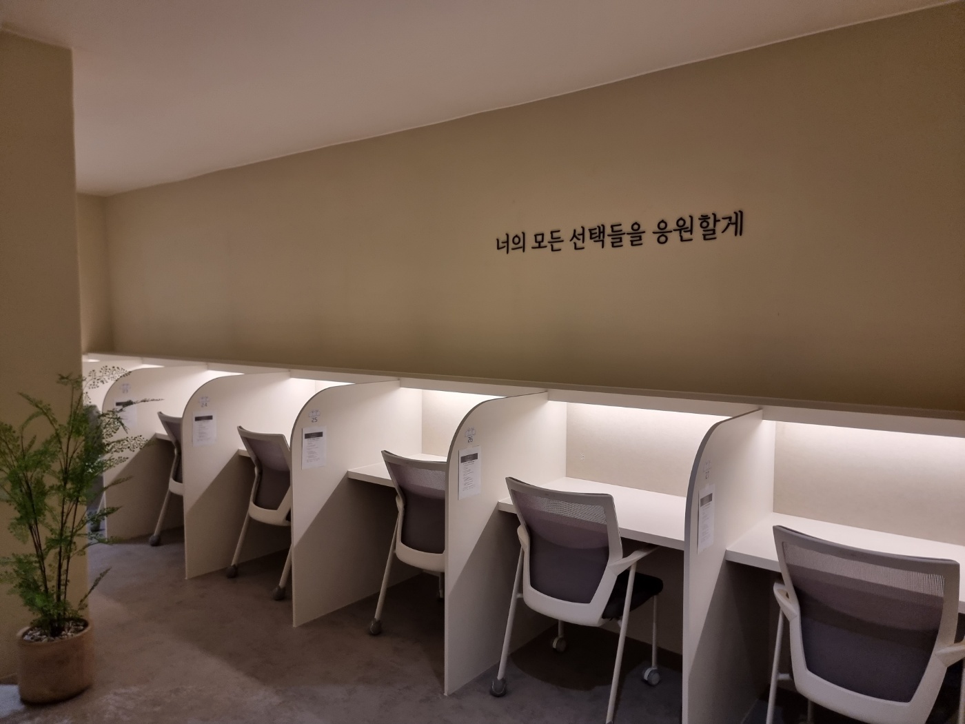 업체사진