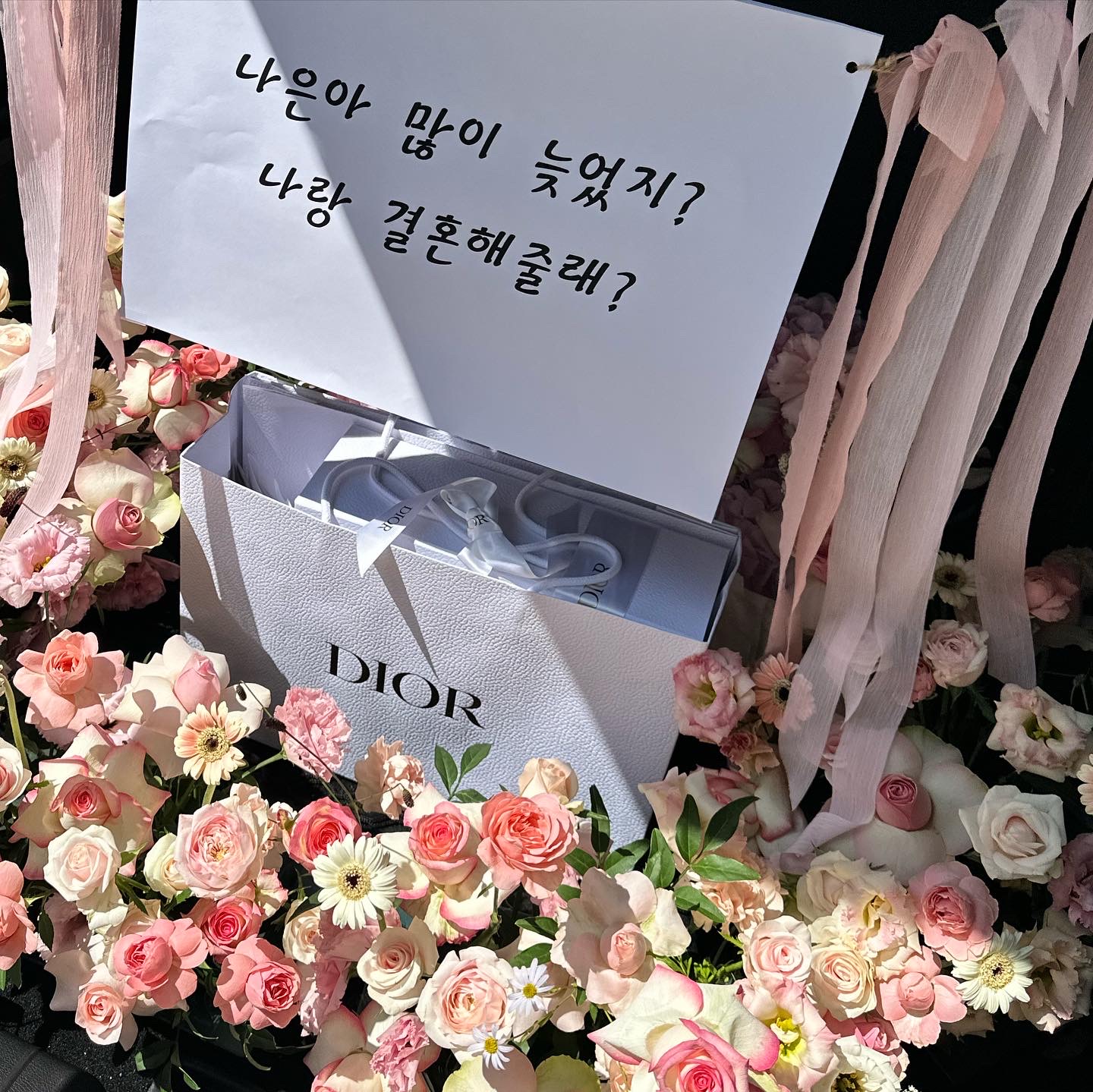 플로엔느
