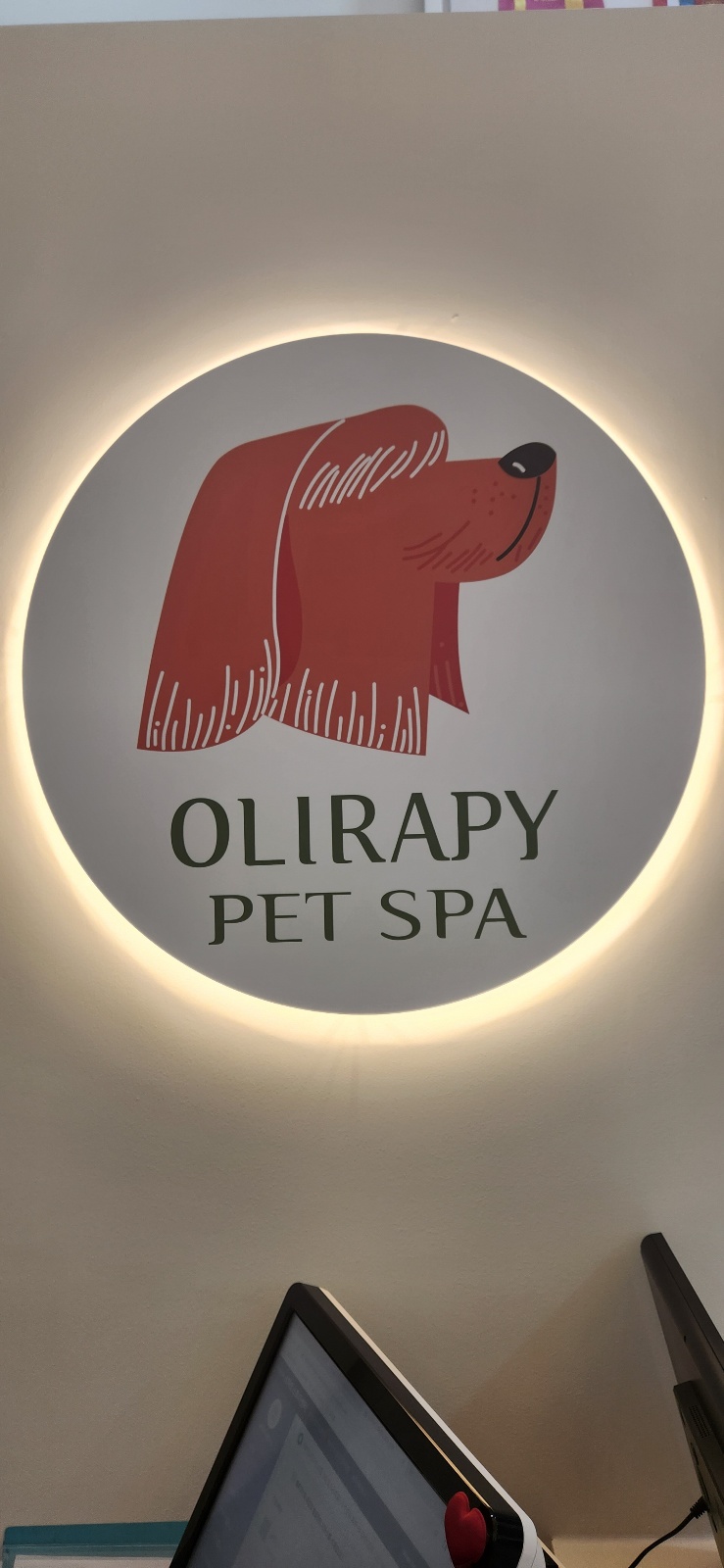 올리라피 연구소 대표 이미지