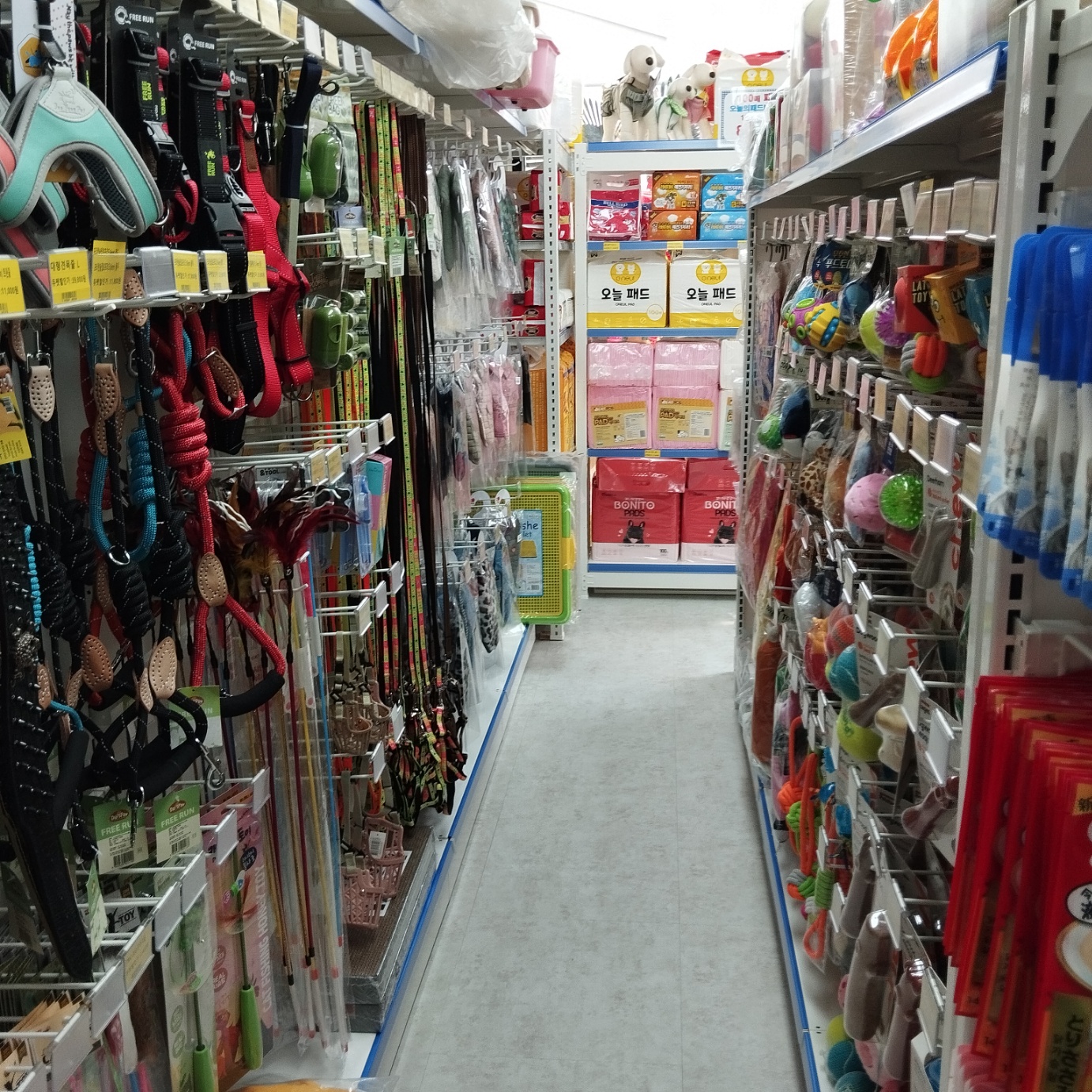 듀펫러브도그 묵동점 대표 이미지 - 무인 펫샵 내부