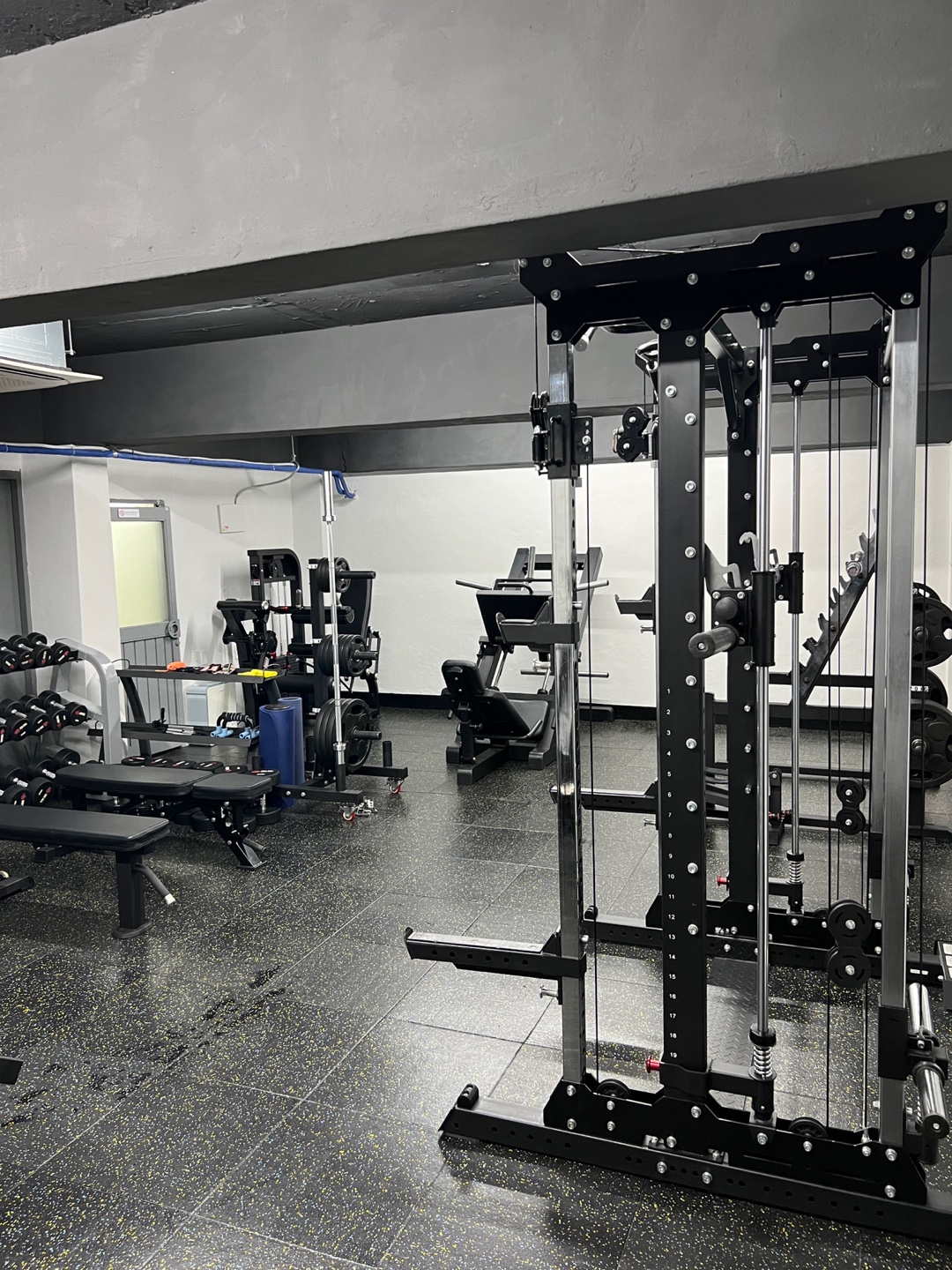 두더짐 대표 이미지