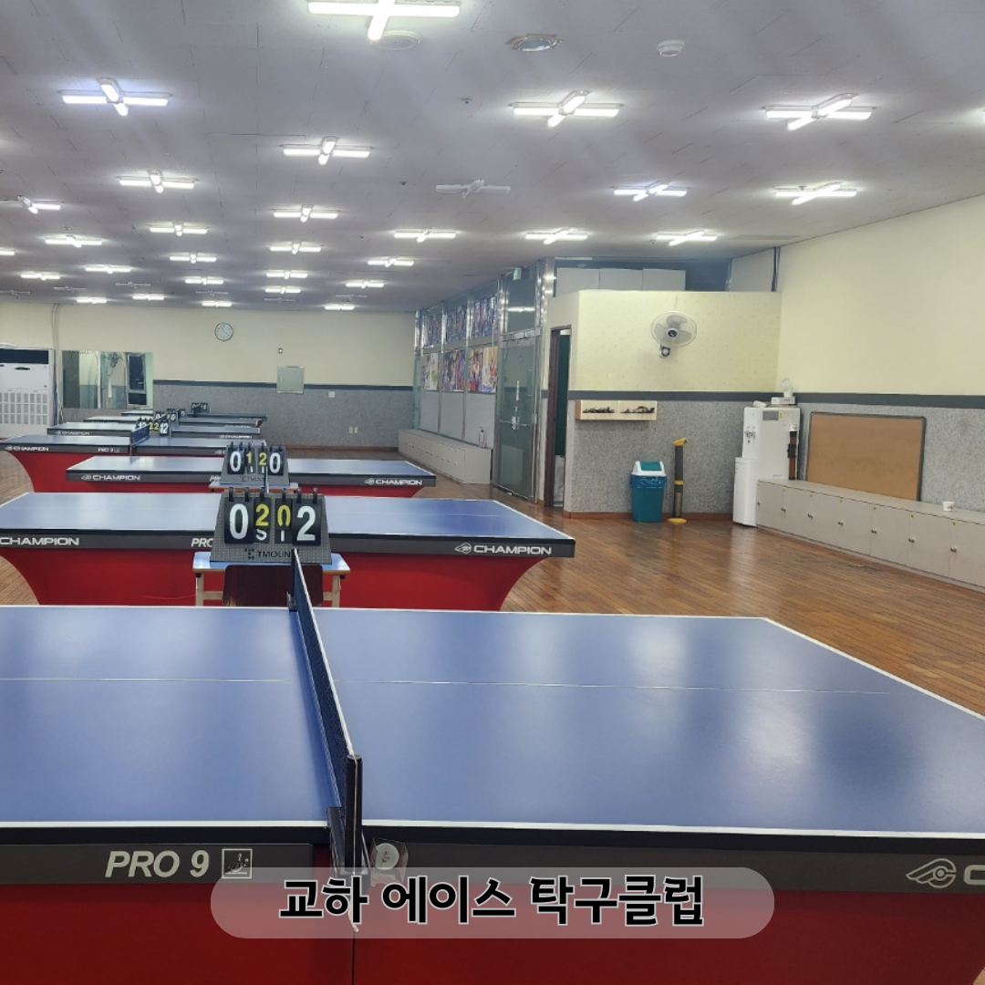 교하에이스탁구클럽