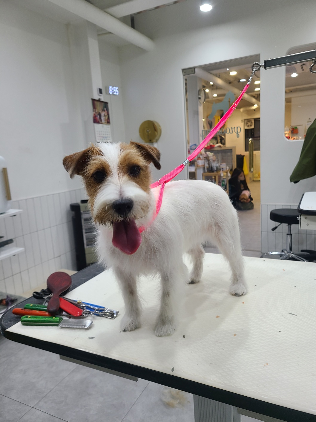 베럴라이프 대표 이미지