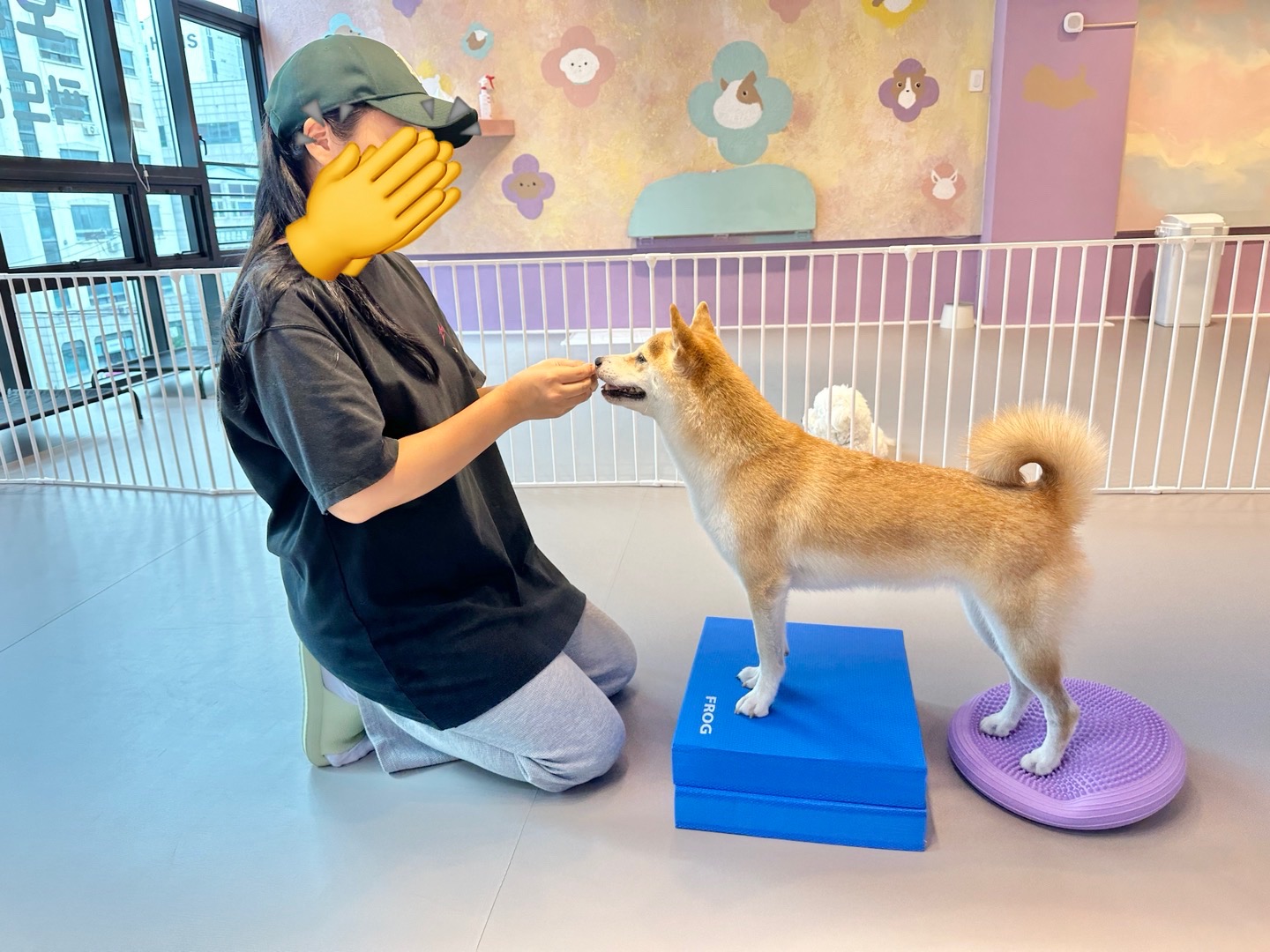 놀러왔댕 대표 이미지