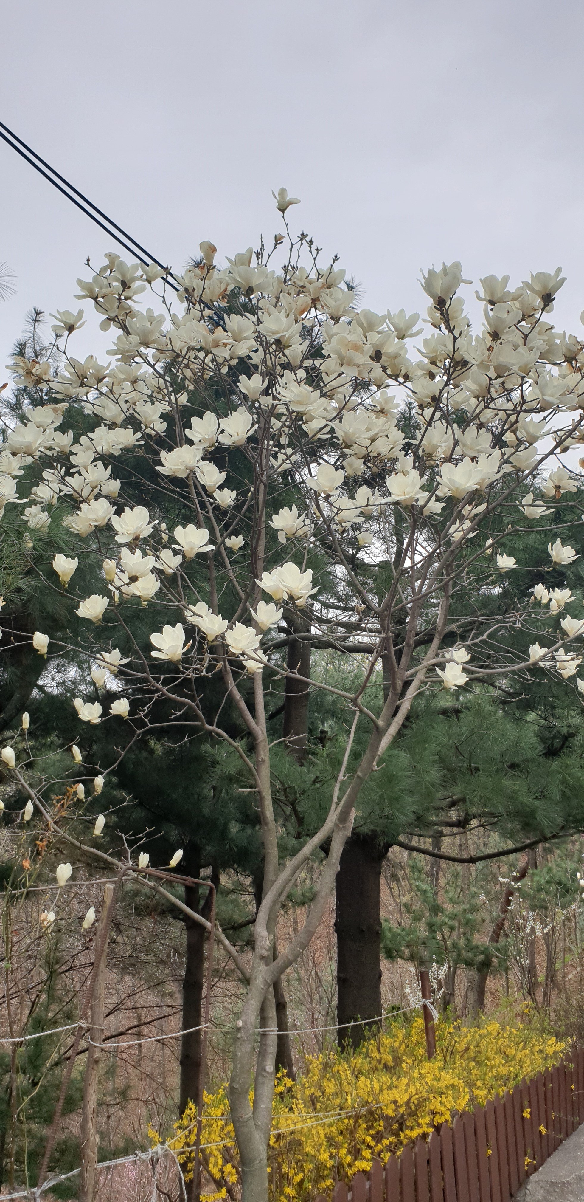 창진산장휴게소