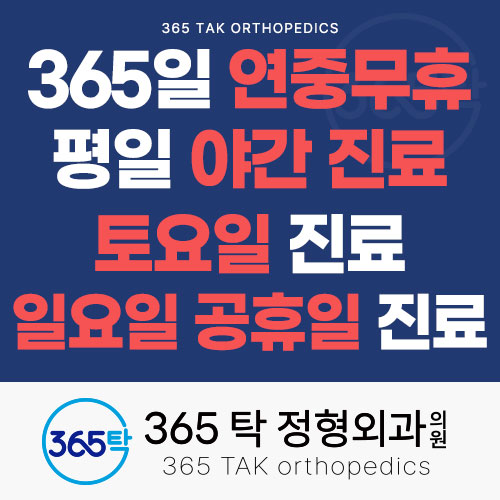 365탁정형외과의원