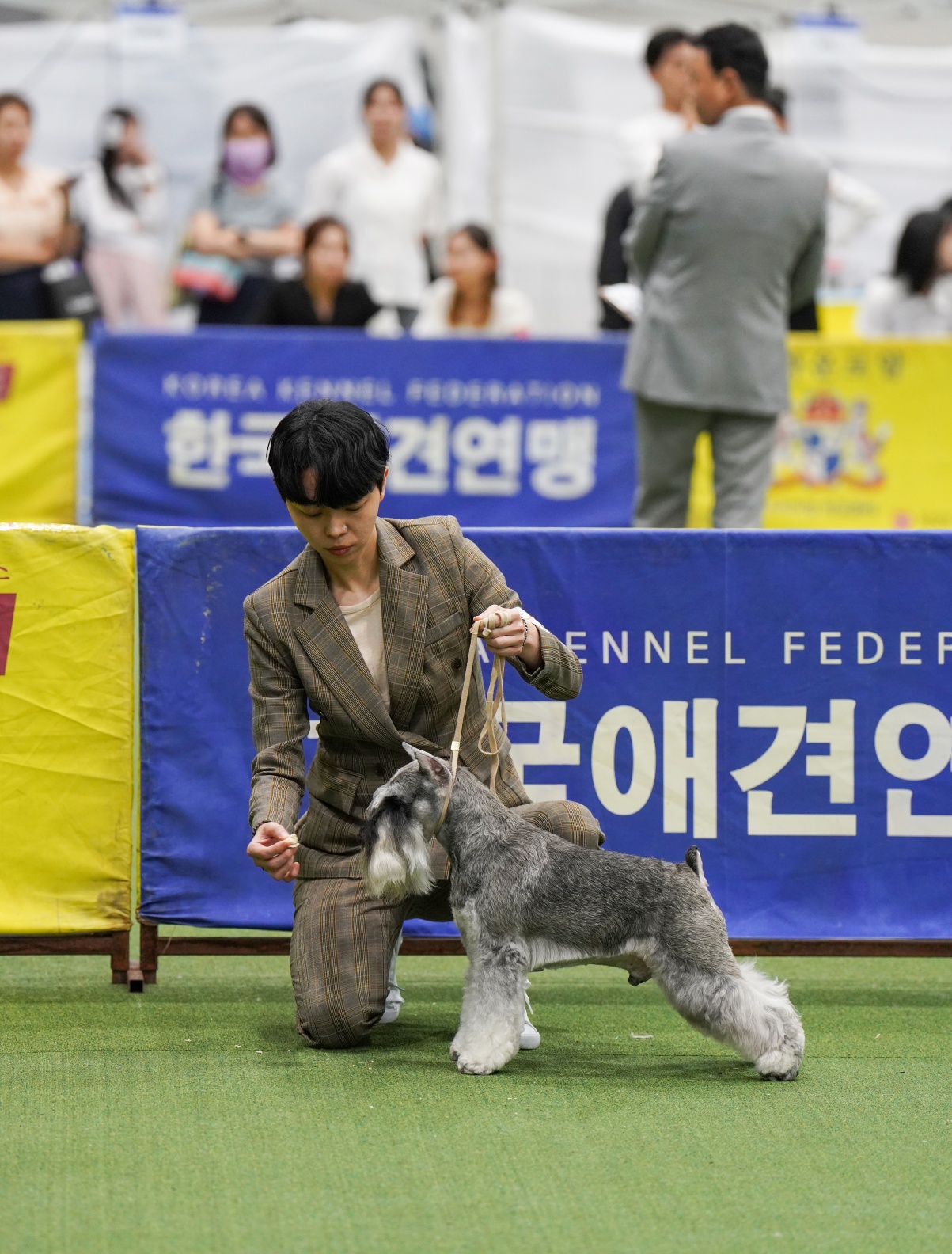 베럴라이프 대표 이미지