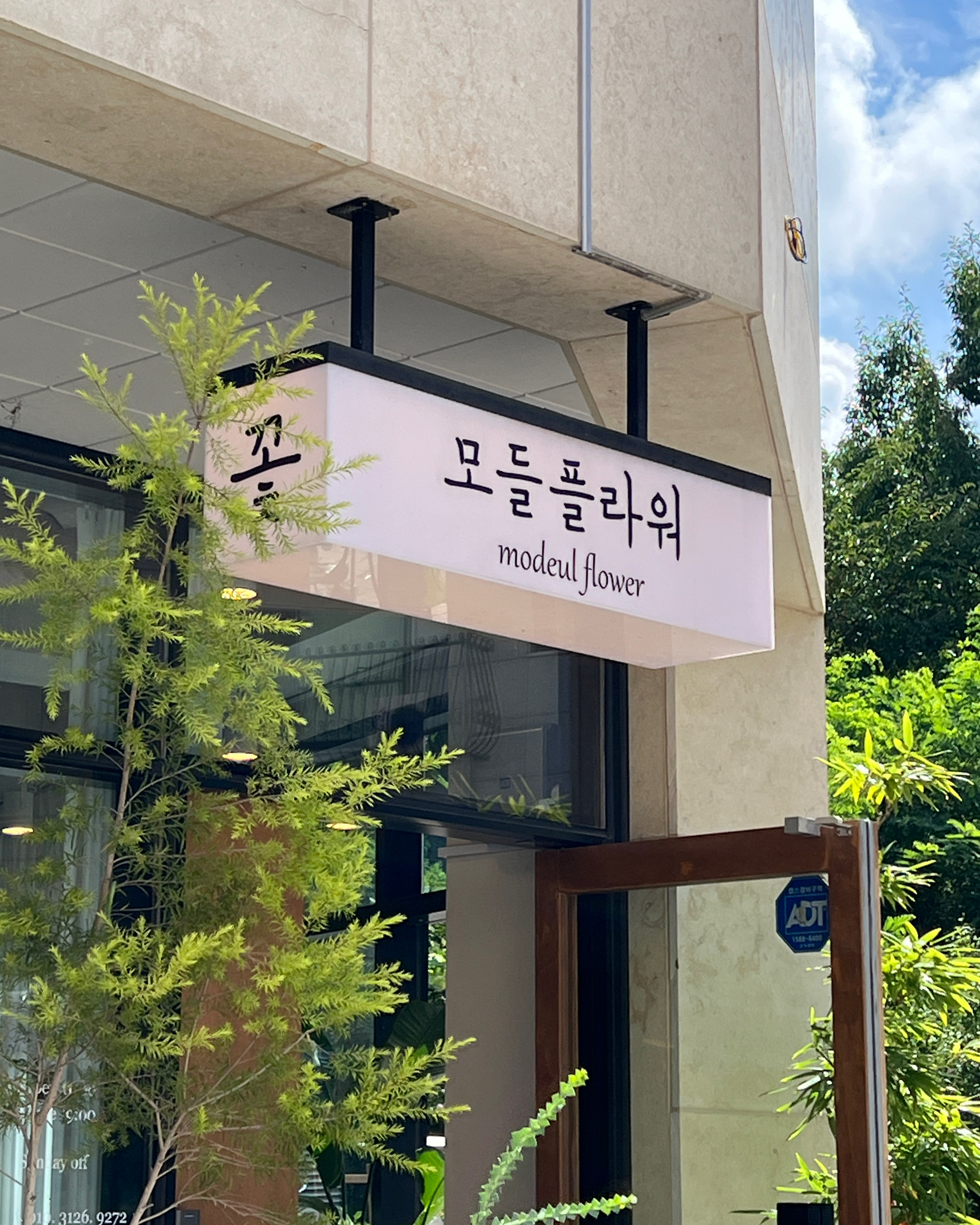 모들플라워