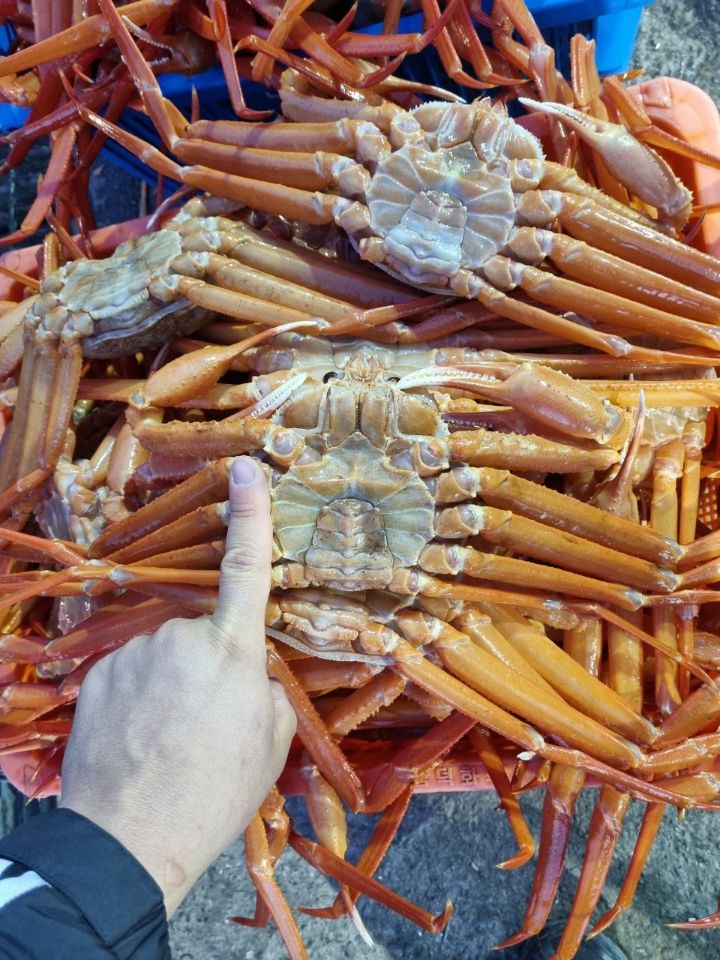촌놈수산