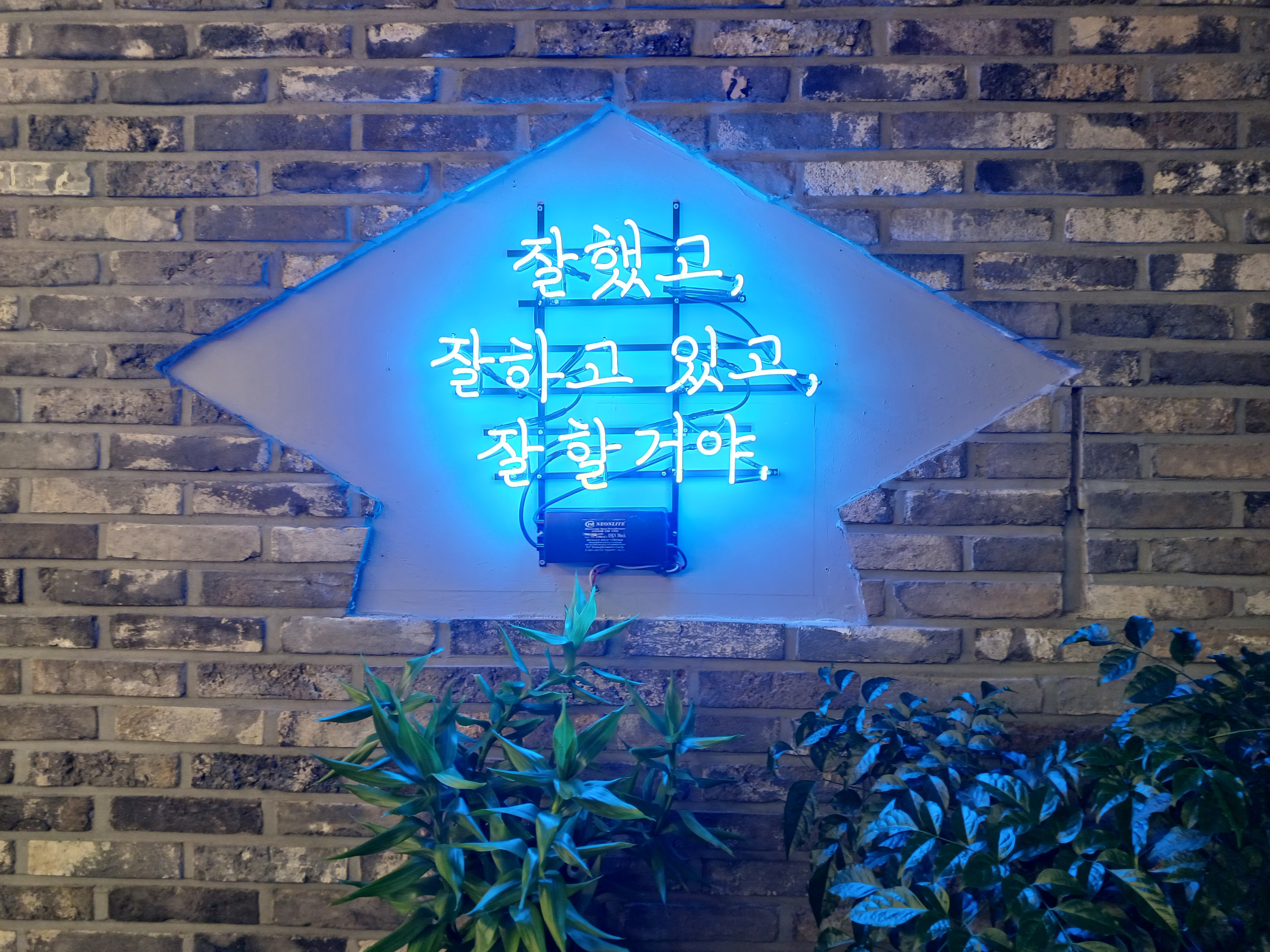 업체사진