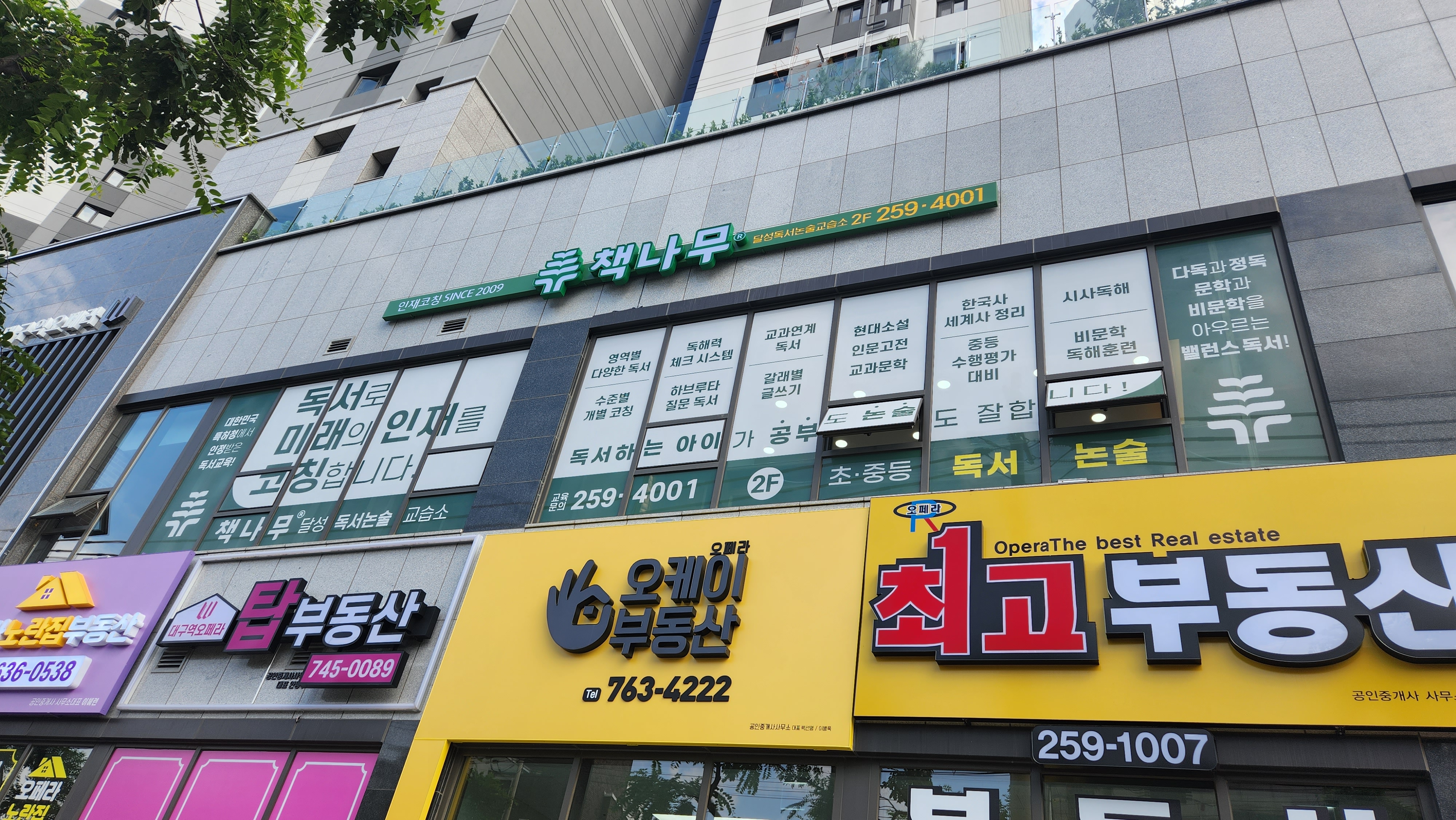 책나무 달성점