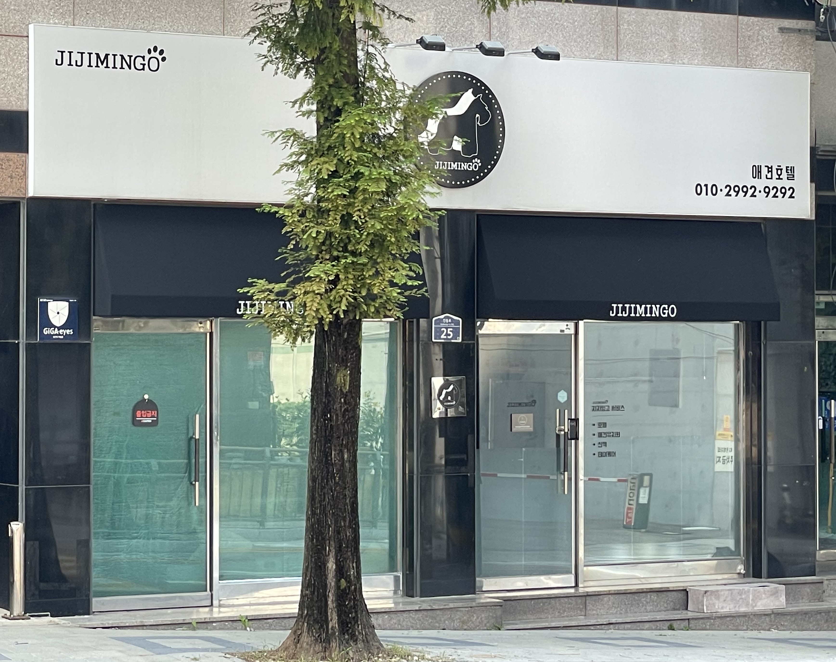 지지밍고 대표 이미지