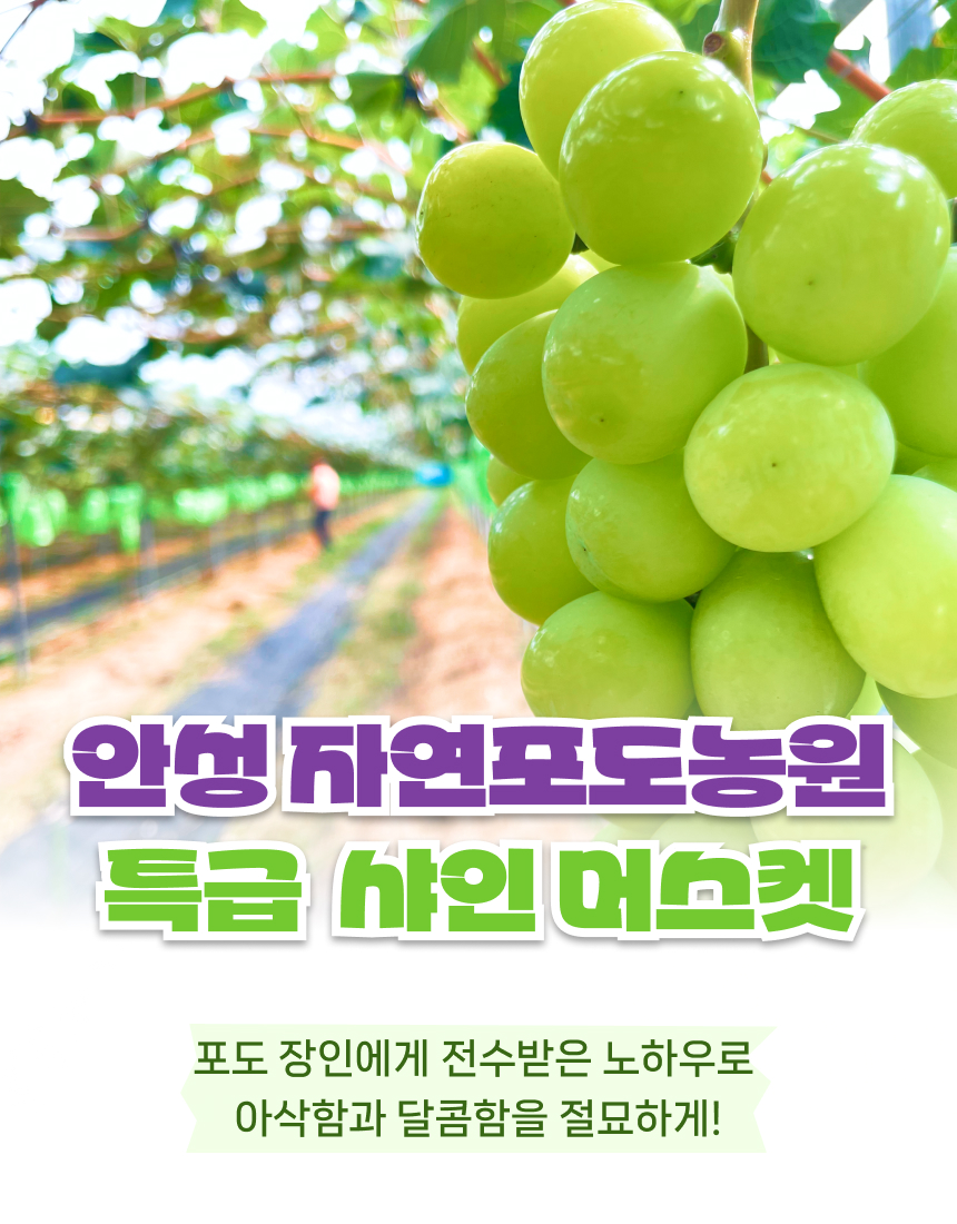 자연포도농원