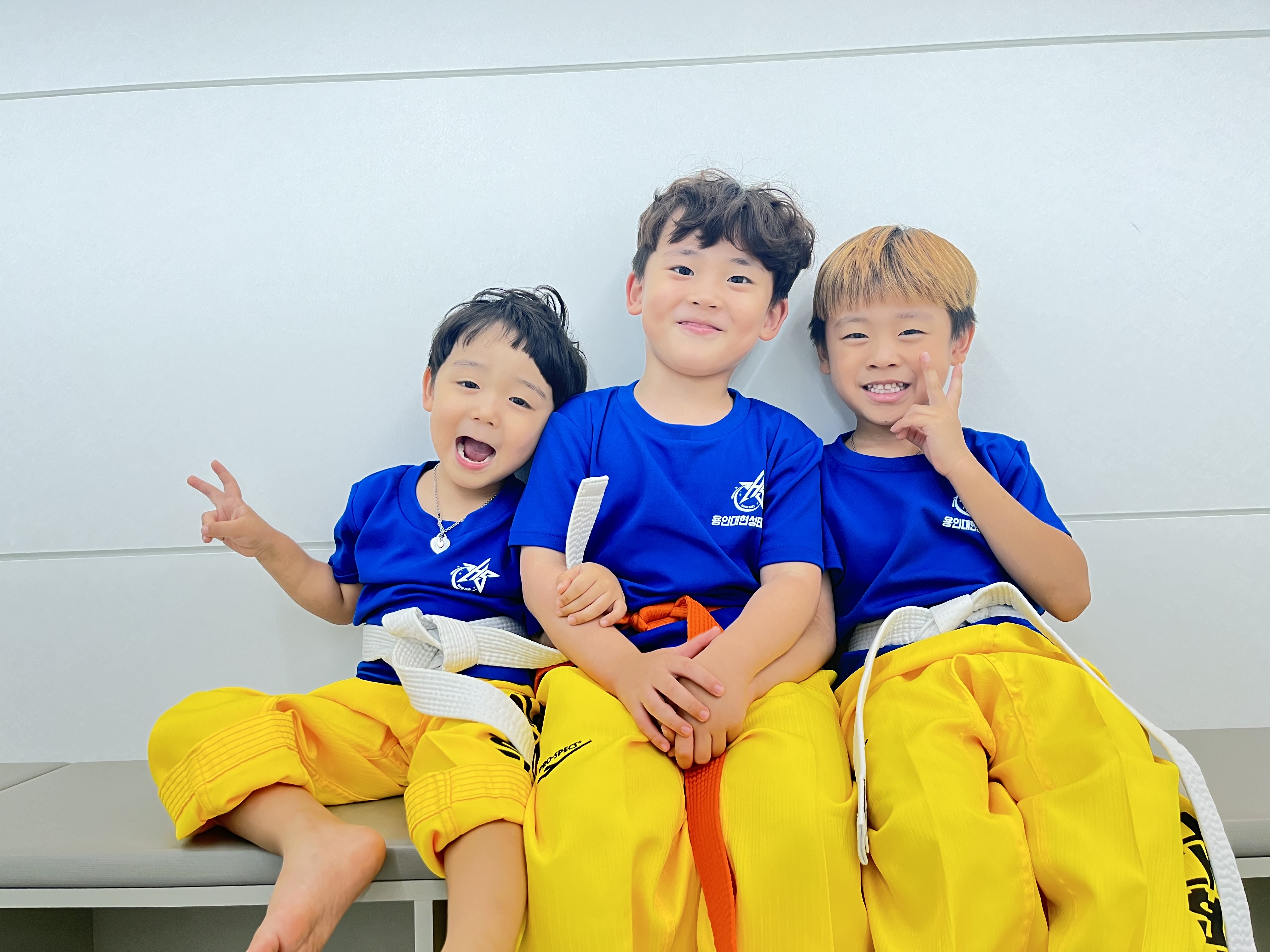 용인대현성태권도