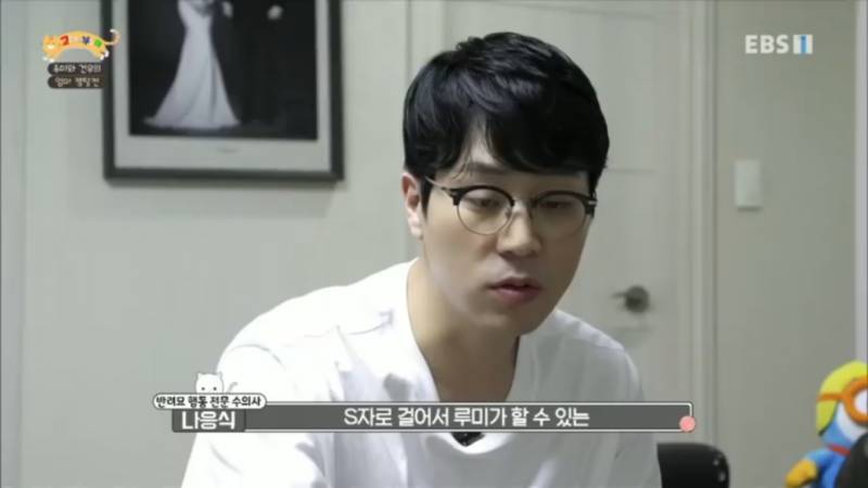 그레이스 고양이병원 대표 이미지