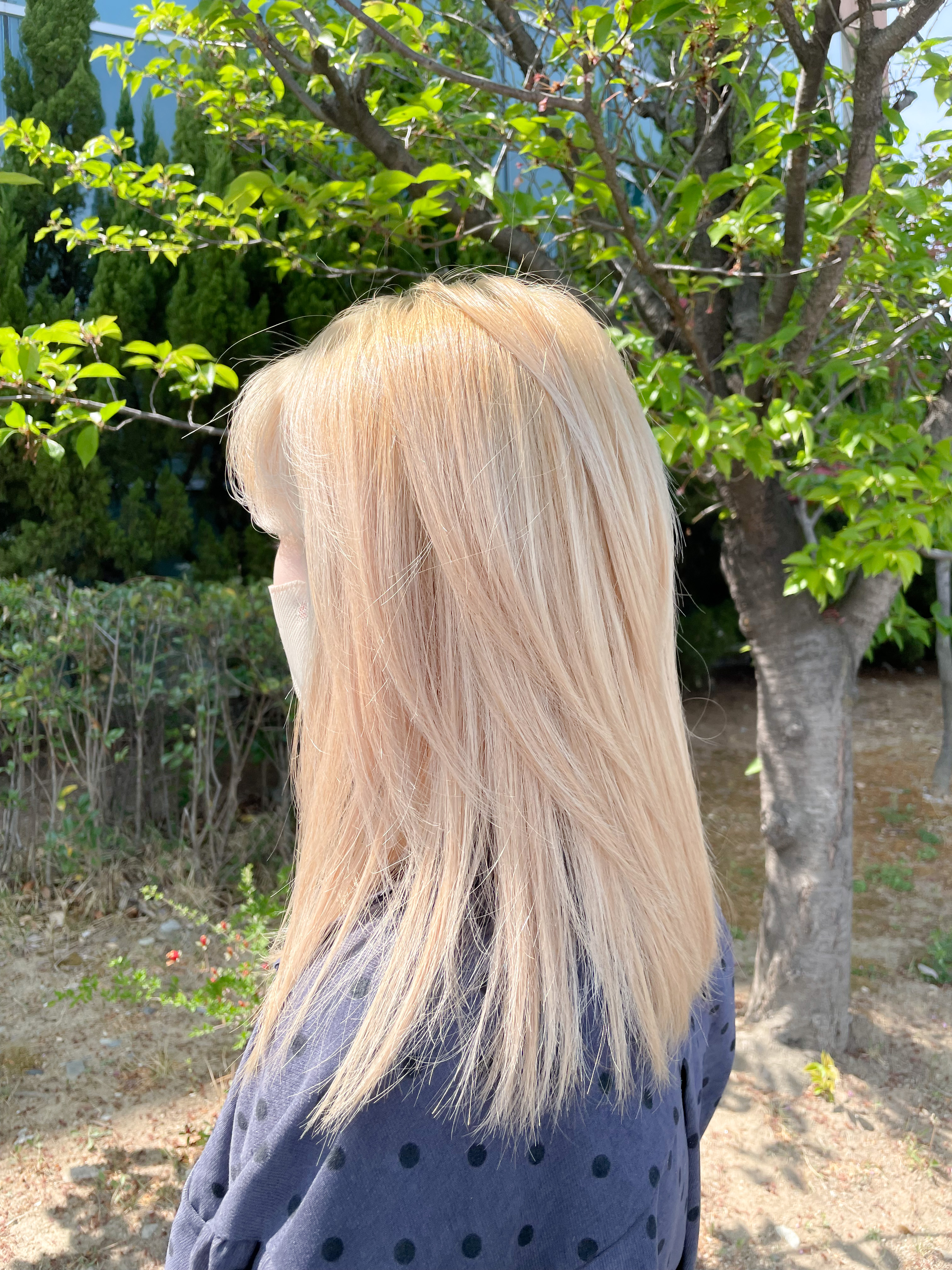 하이즈헤어