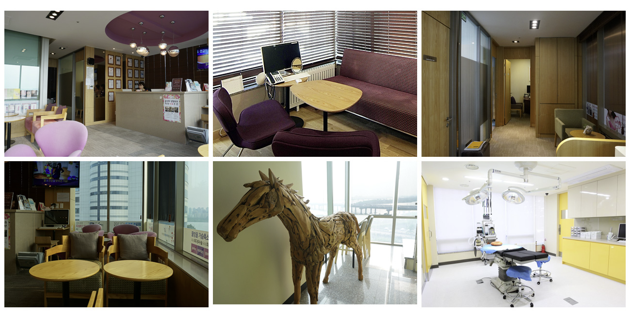 옵티마성형외과의원 대표 이미지