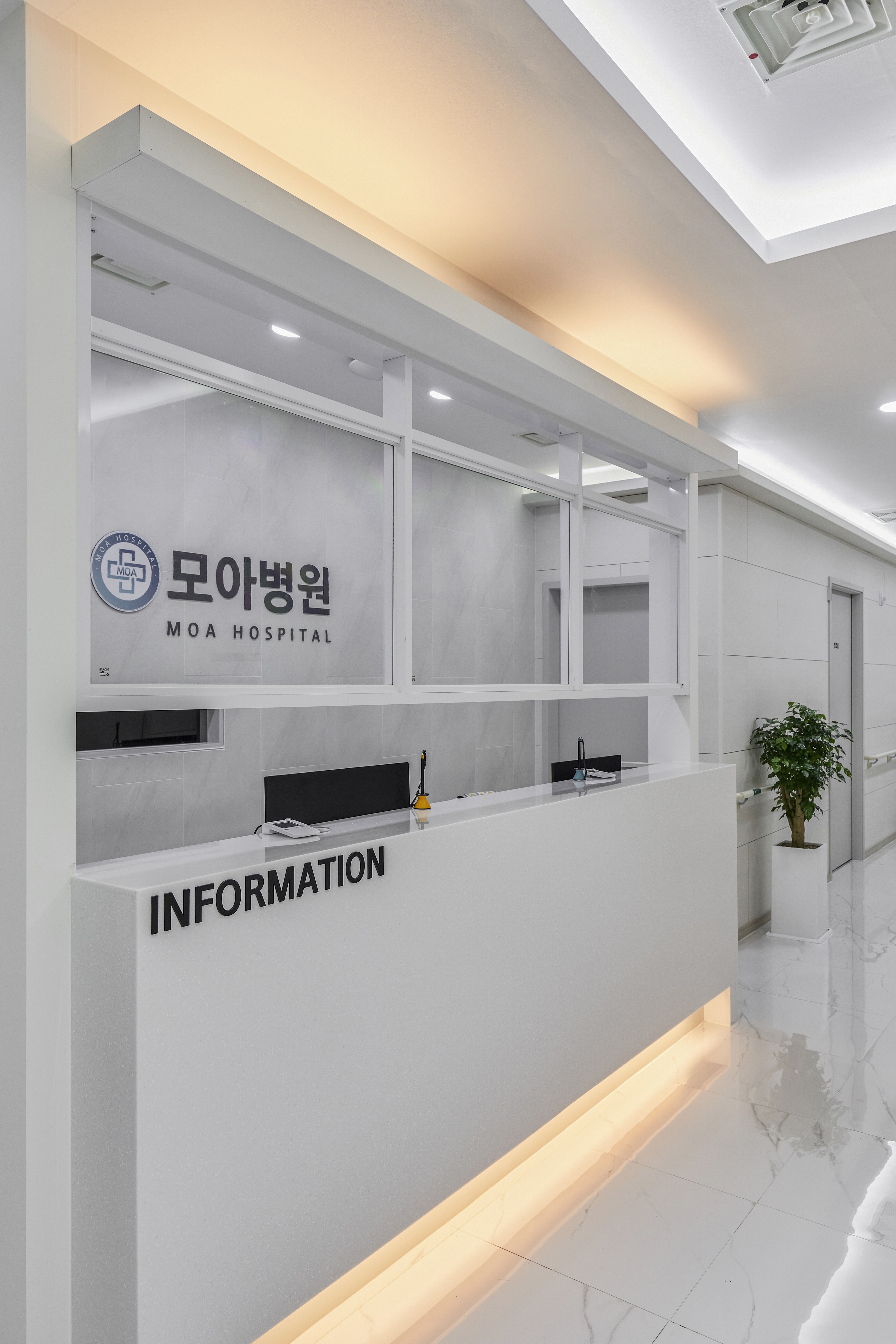 모아병원