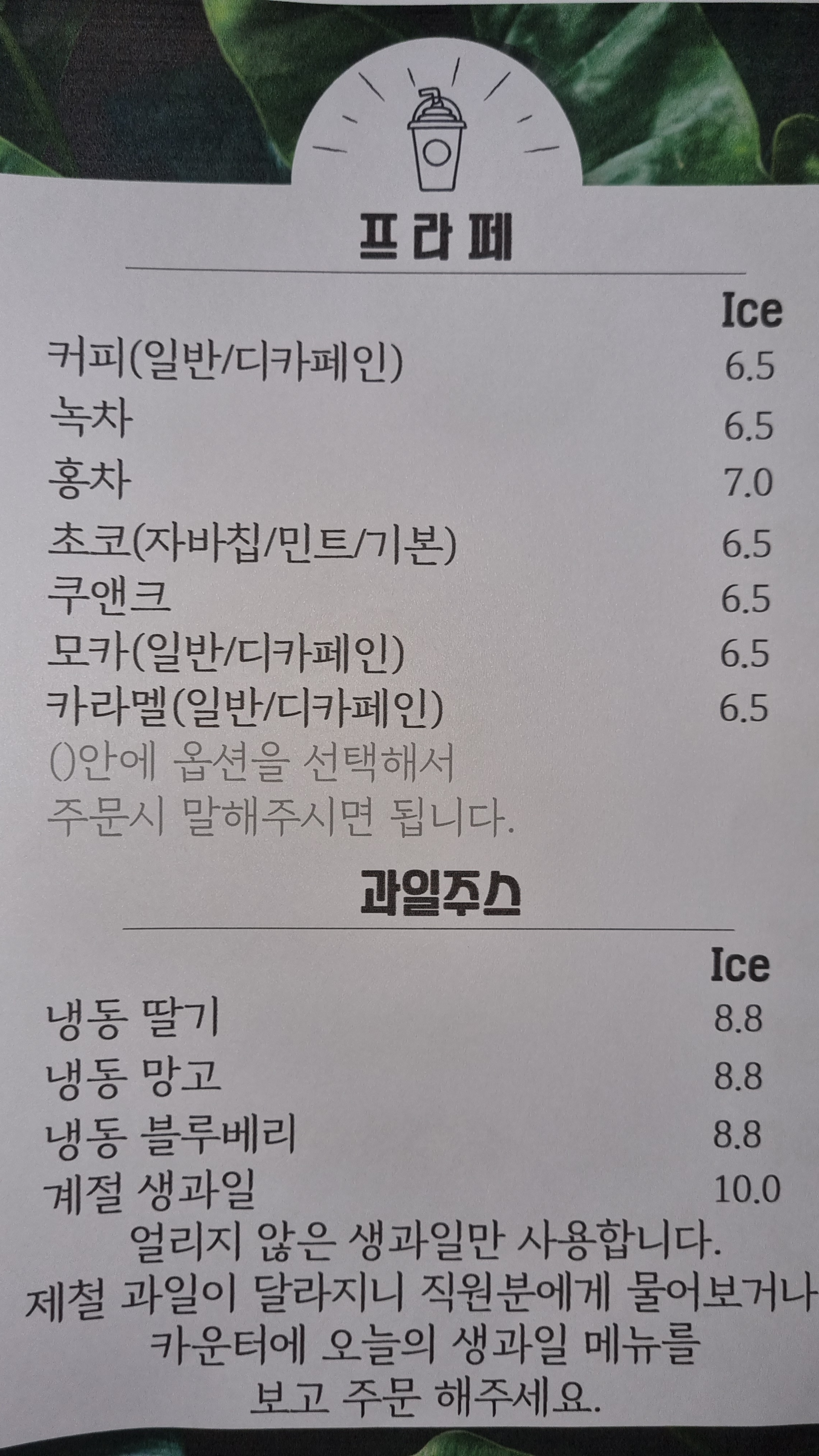 파인트리