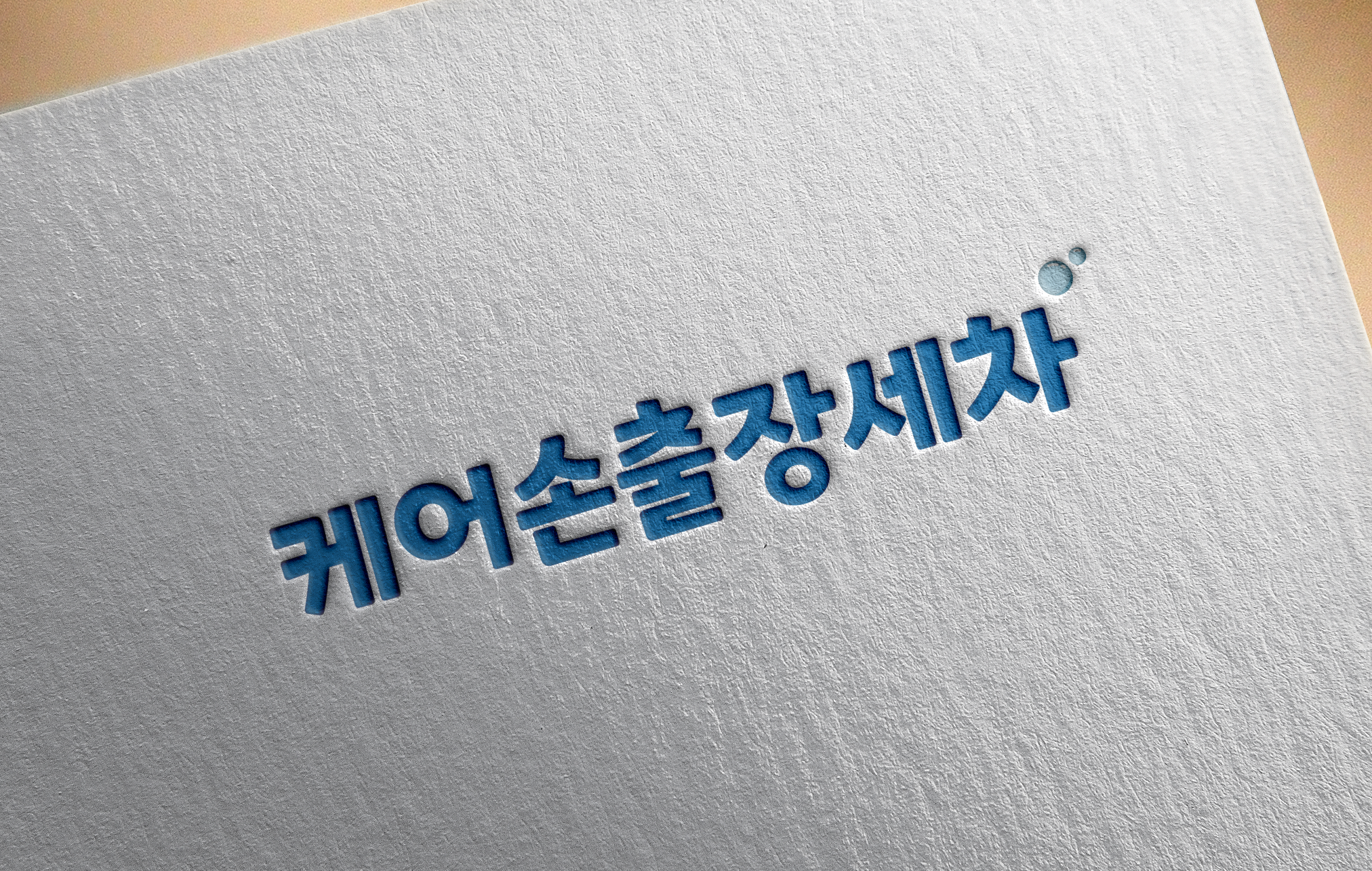 케어손출장세차