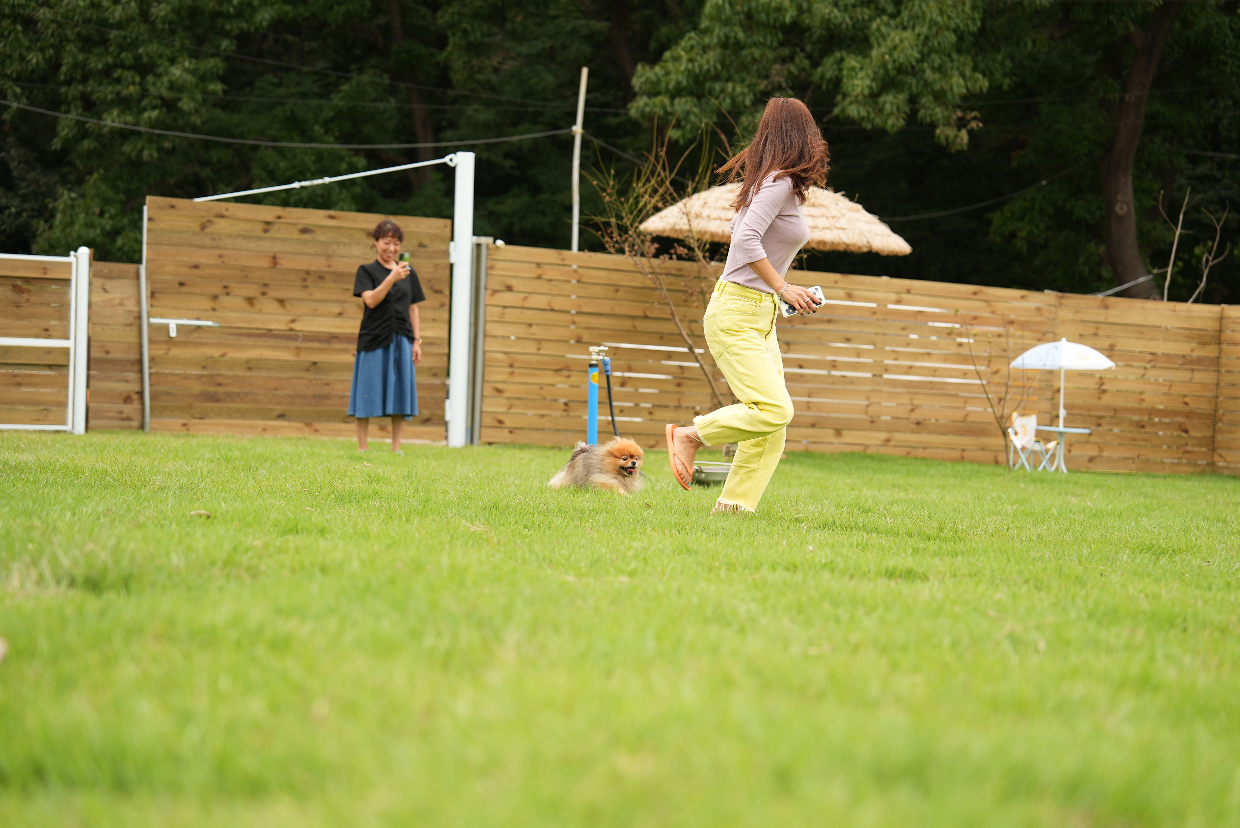 행땅 대표 이미지