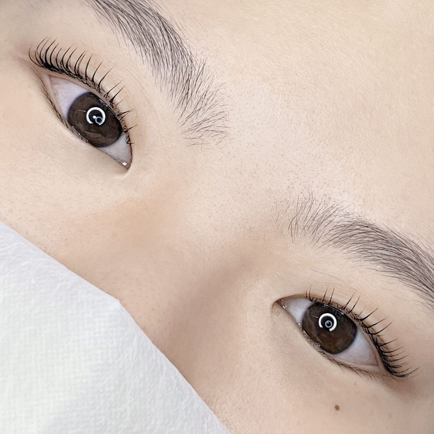 누아이 대표 이미지