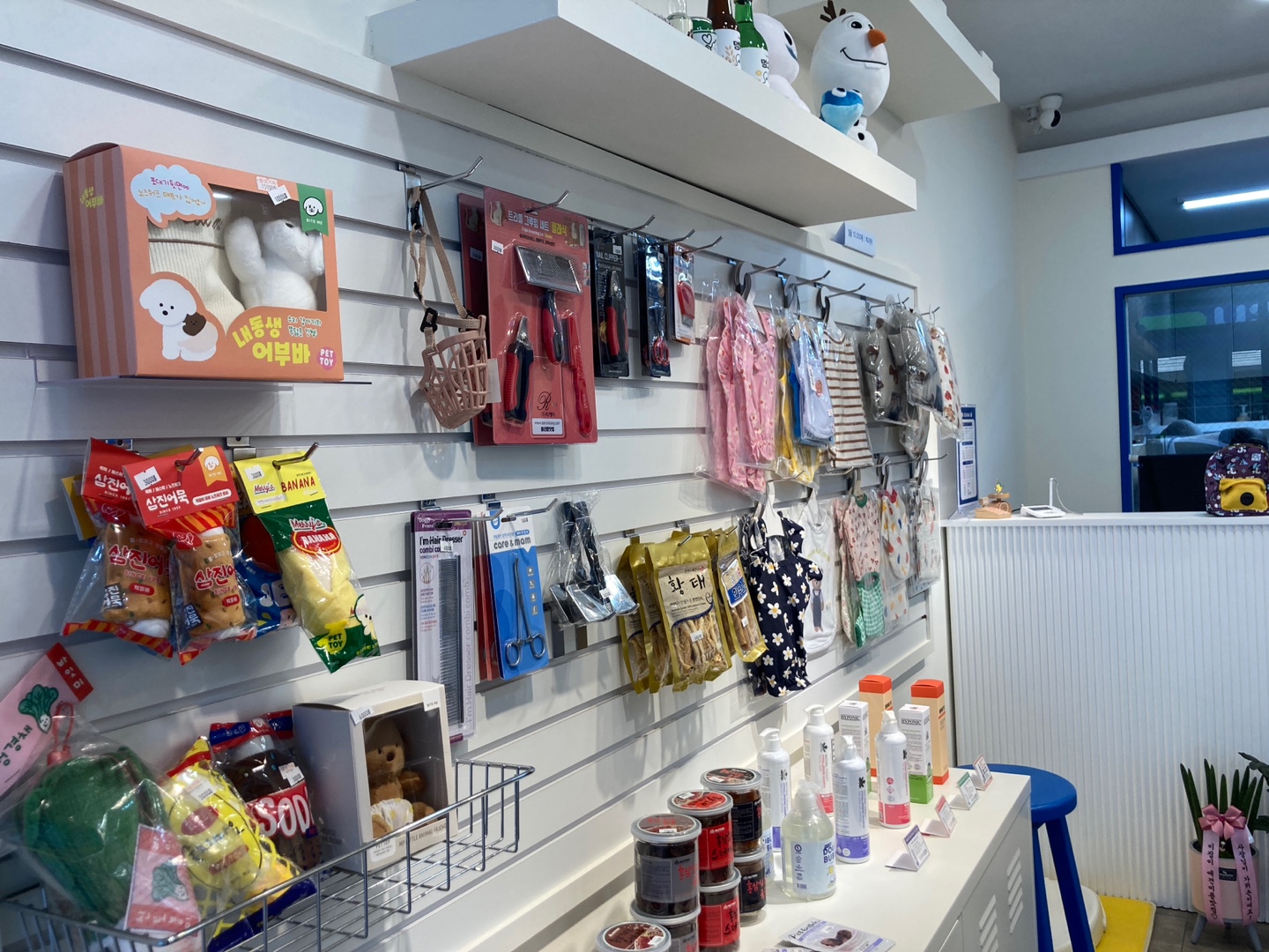 도그몽 대표 이미지