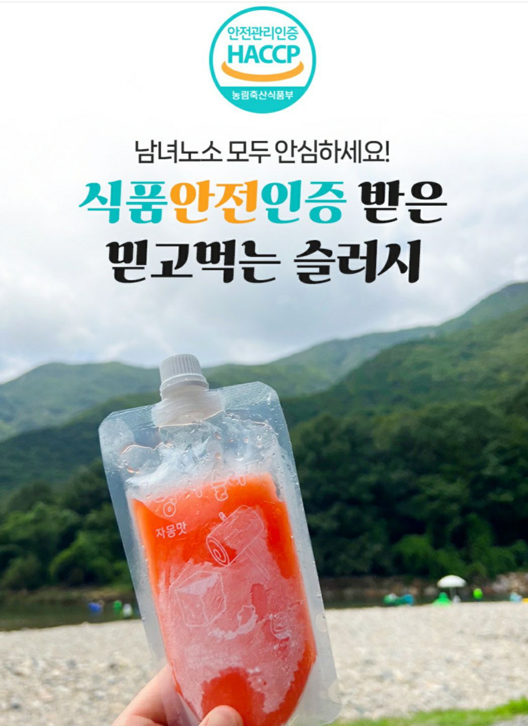 국화드림