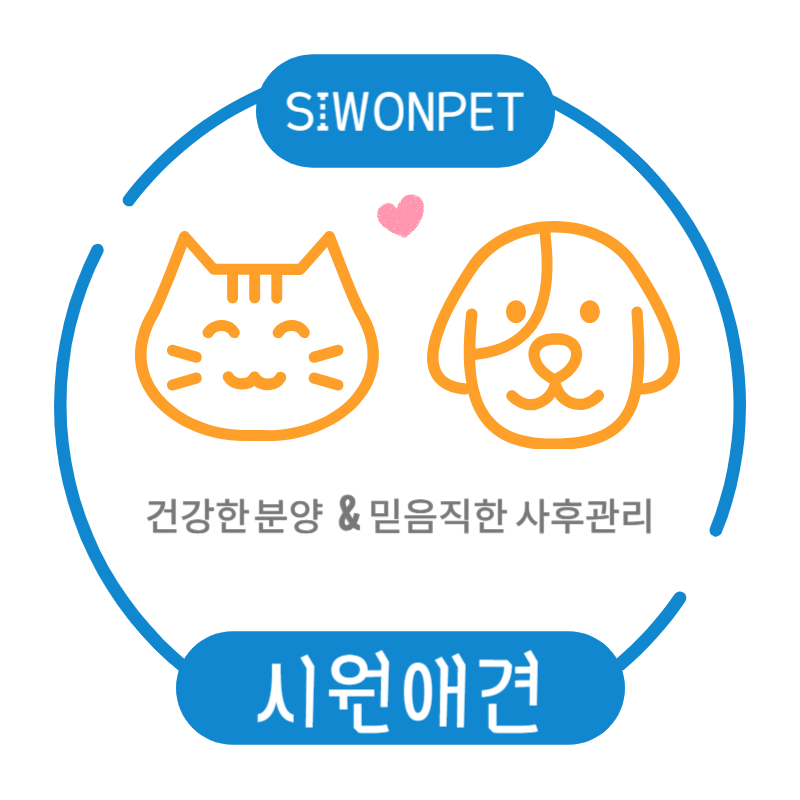 시원애견