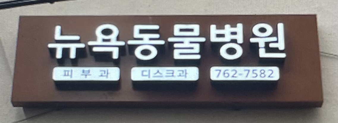 뉴욕동물병원