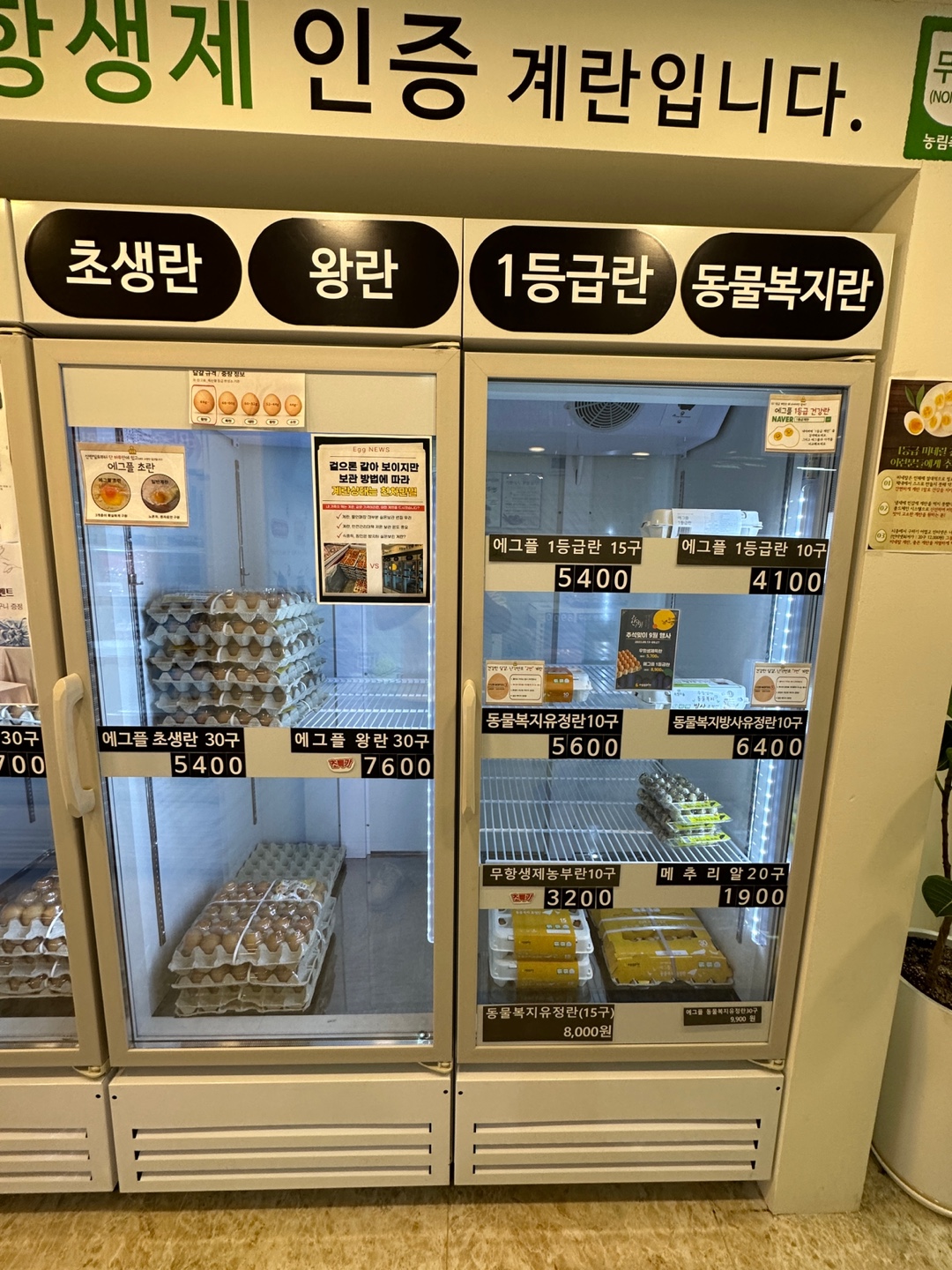 에그플 부천중동점