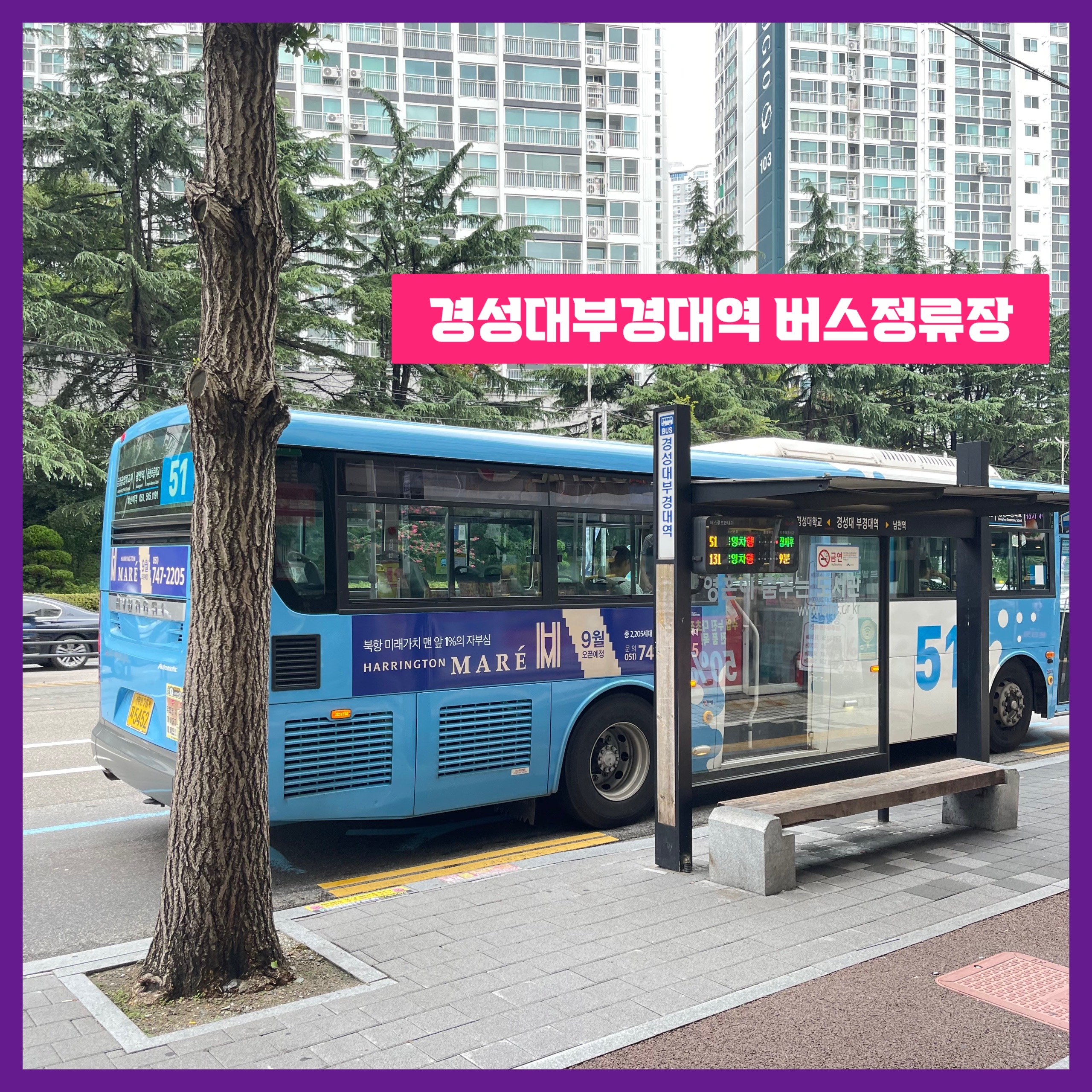 위베이프전자담배 경성대부경대점