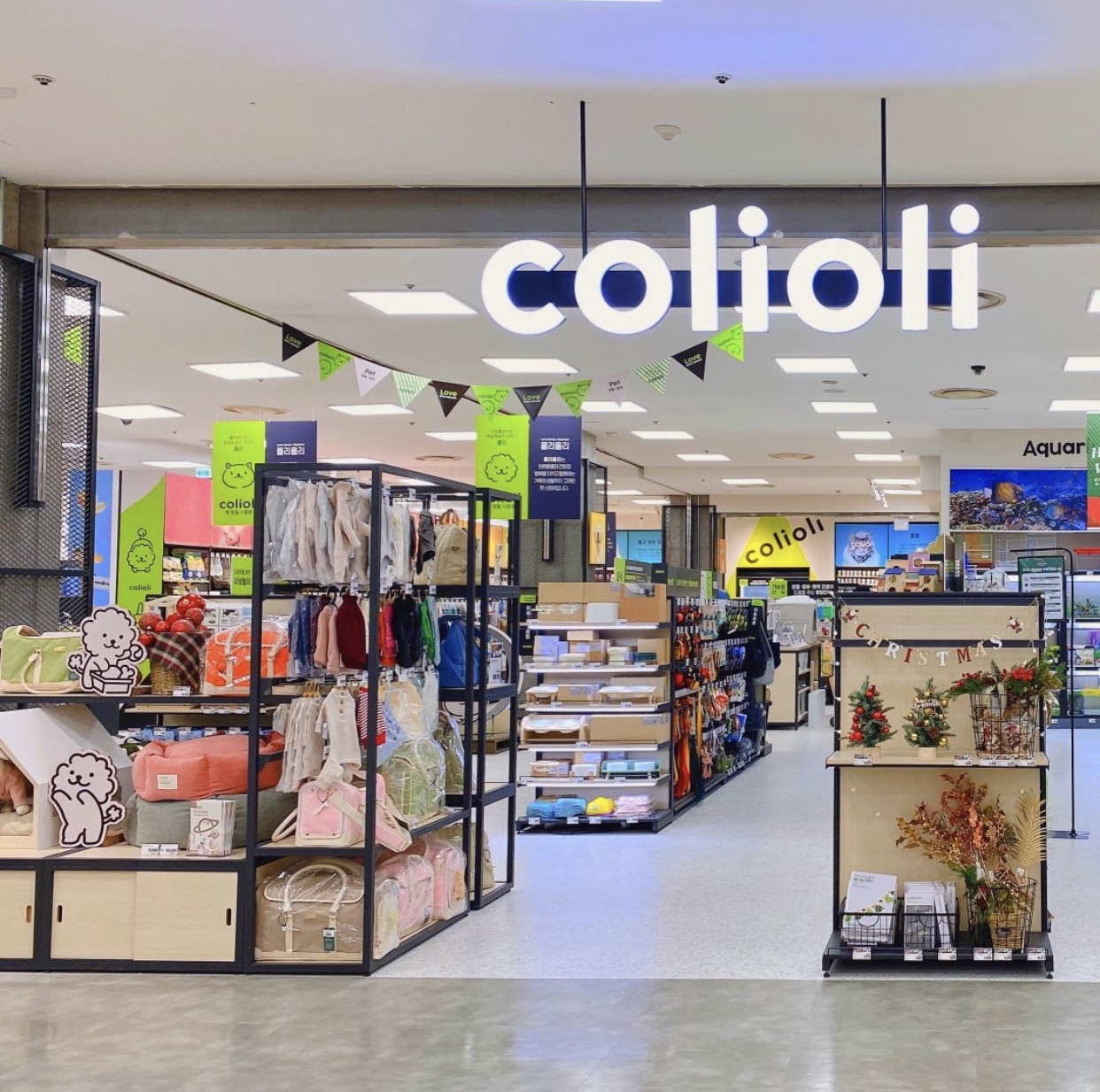 콜리올리 대표 이미지