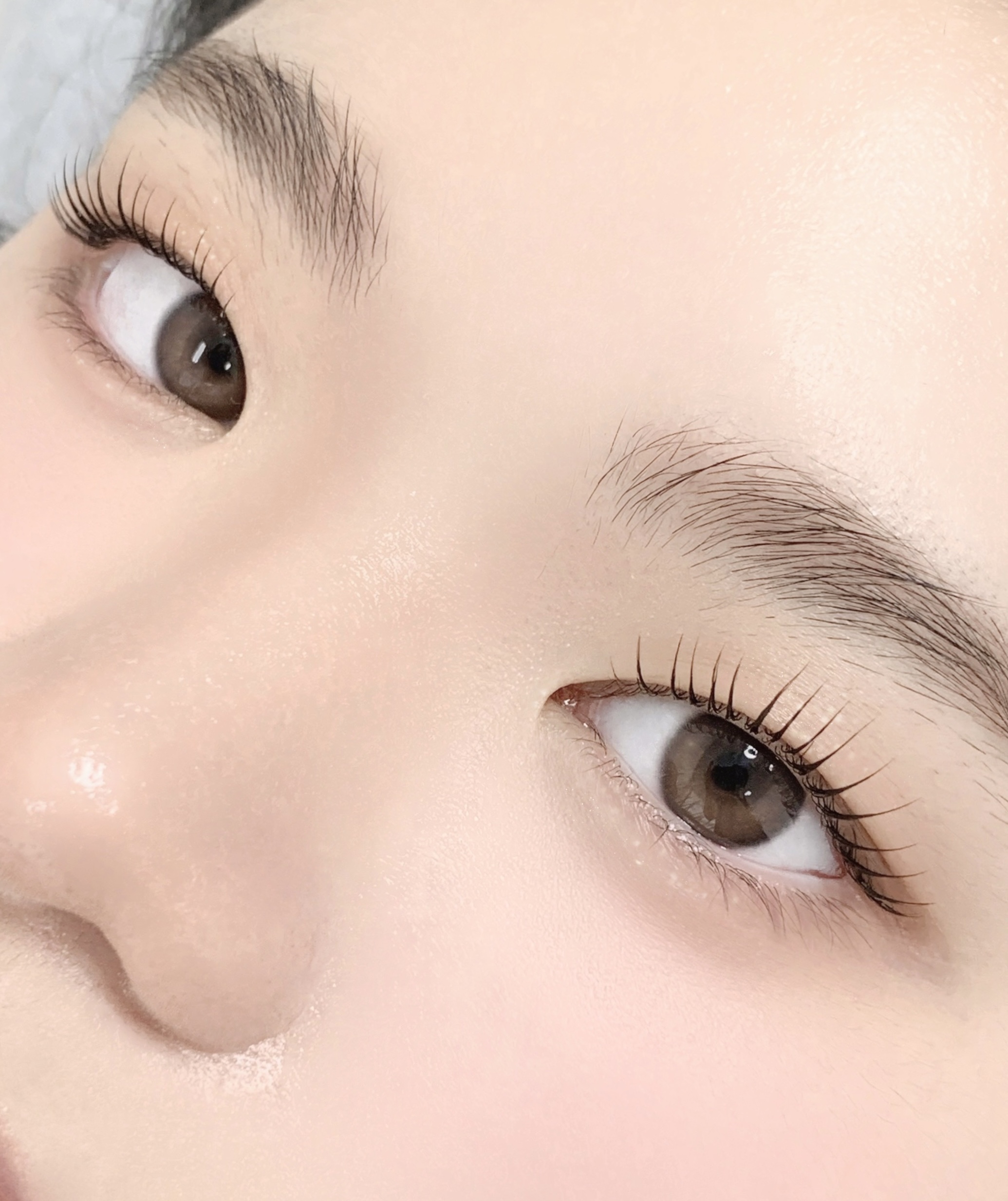 쥬네브로우 세종