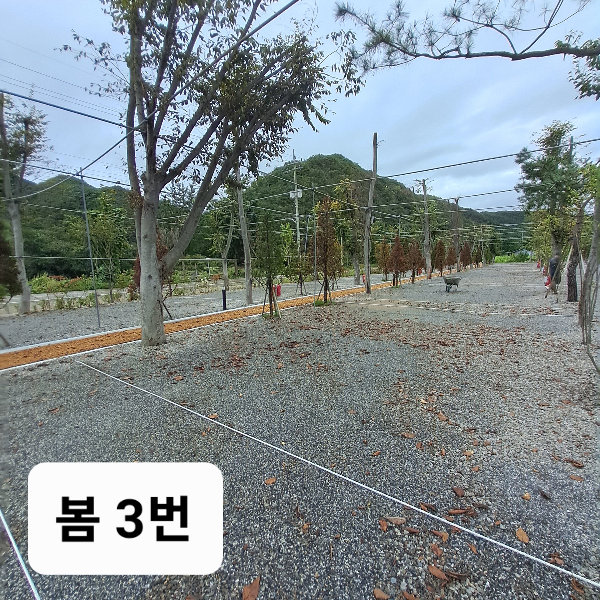 옥화포시즌캠핑장