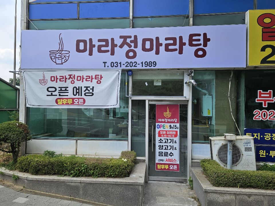마라정