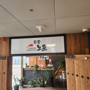 노포일식