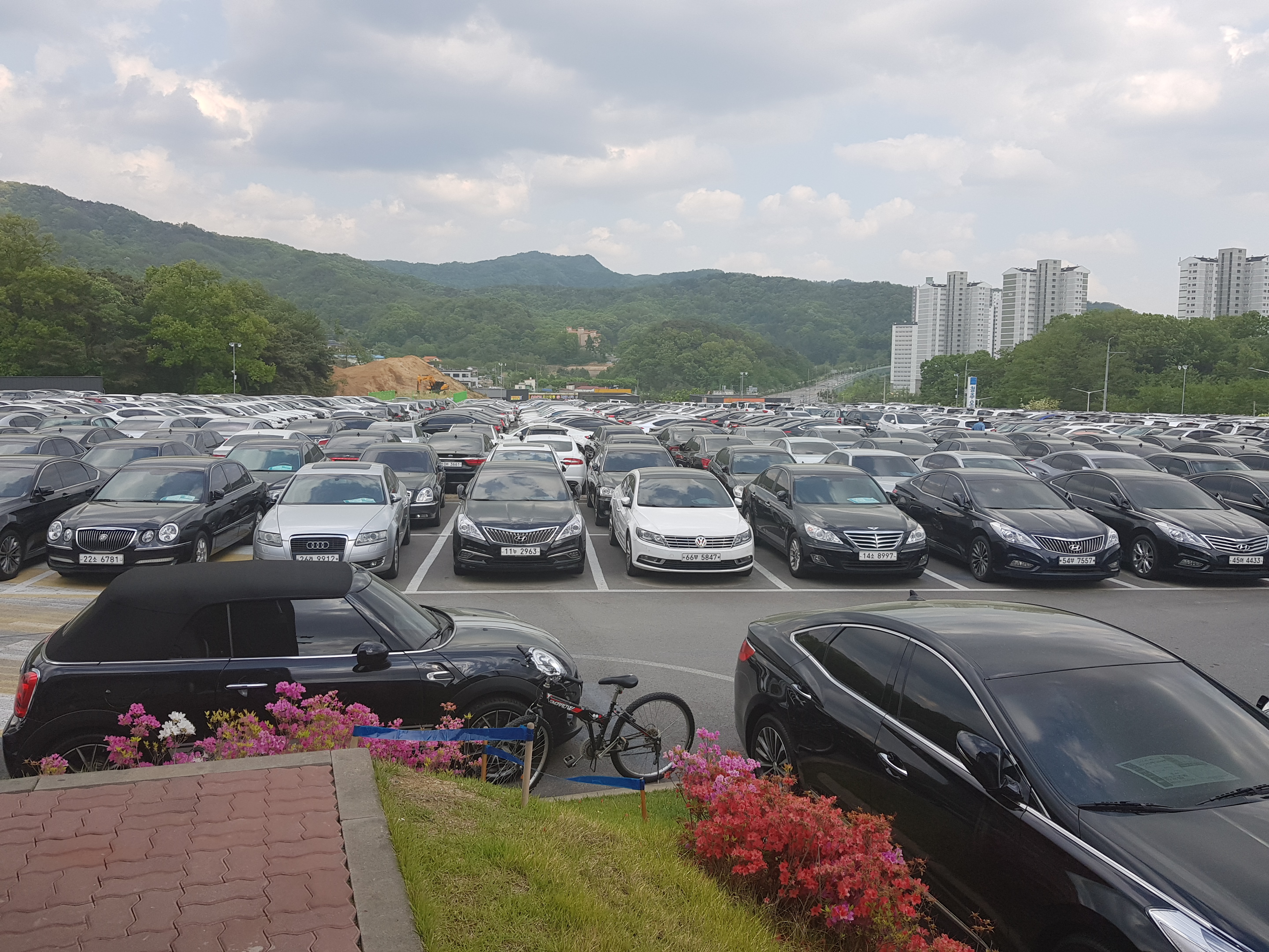 뉴하모니카 대표 이미지