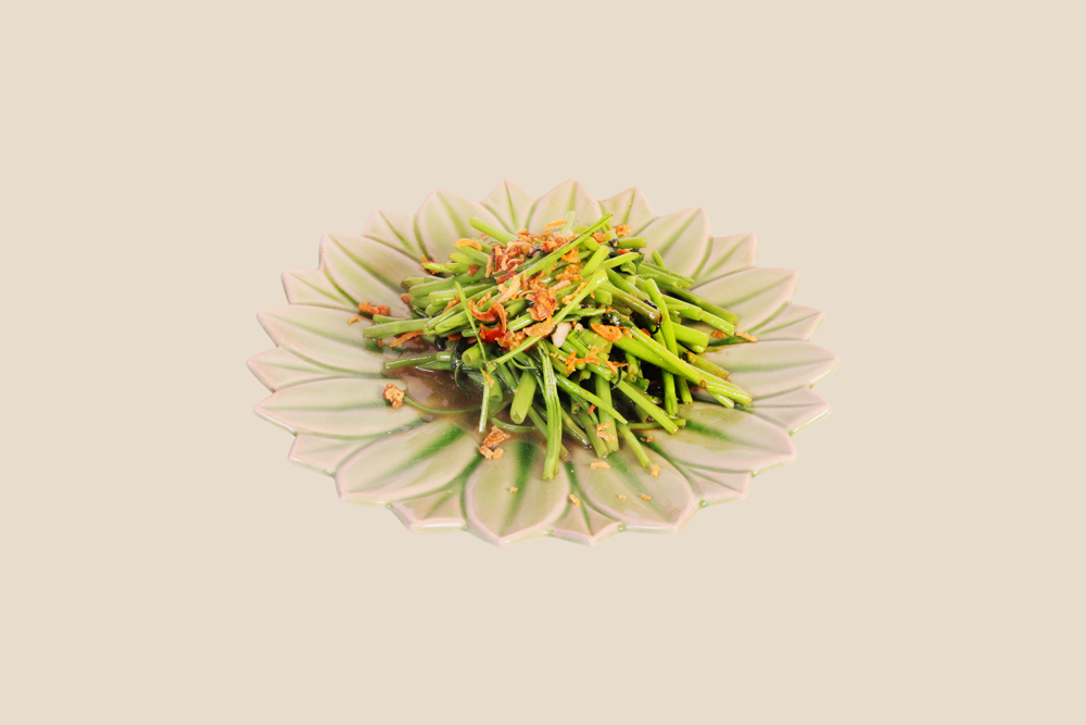 팍붕화이뎅