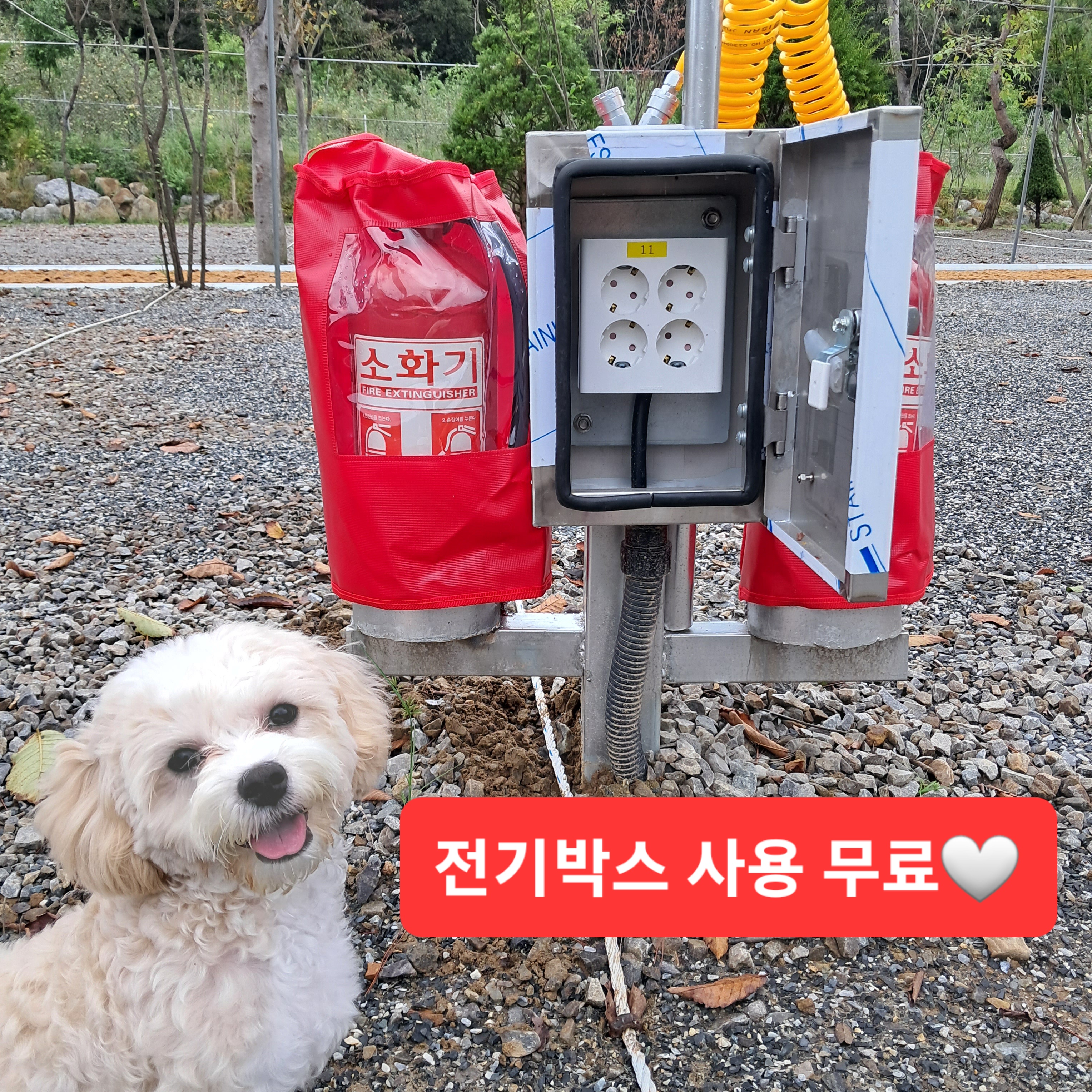 옥화포시즌캠핑장