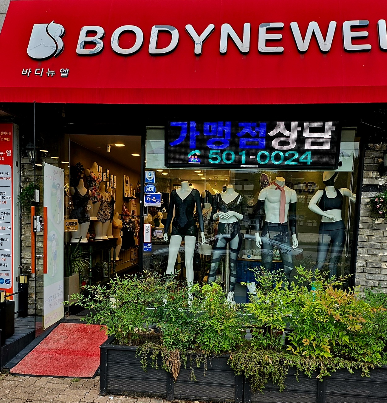 바디뉴엘