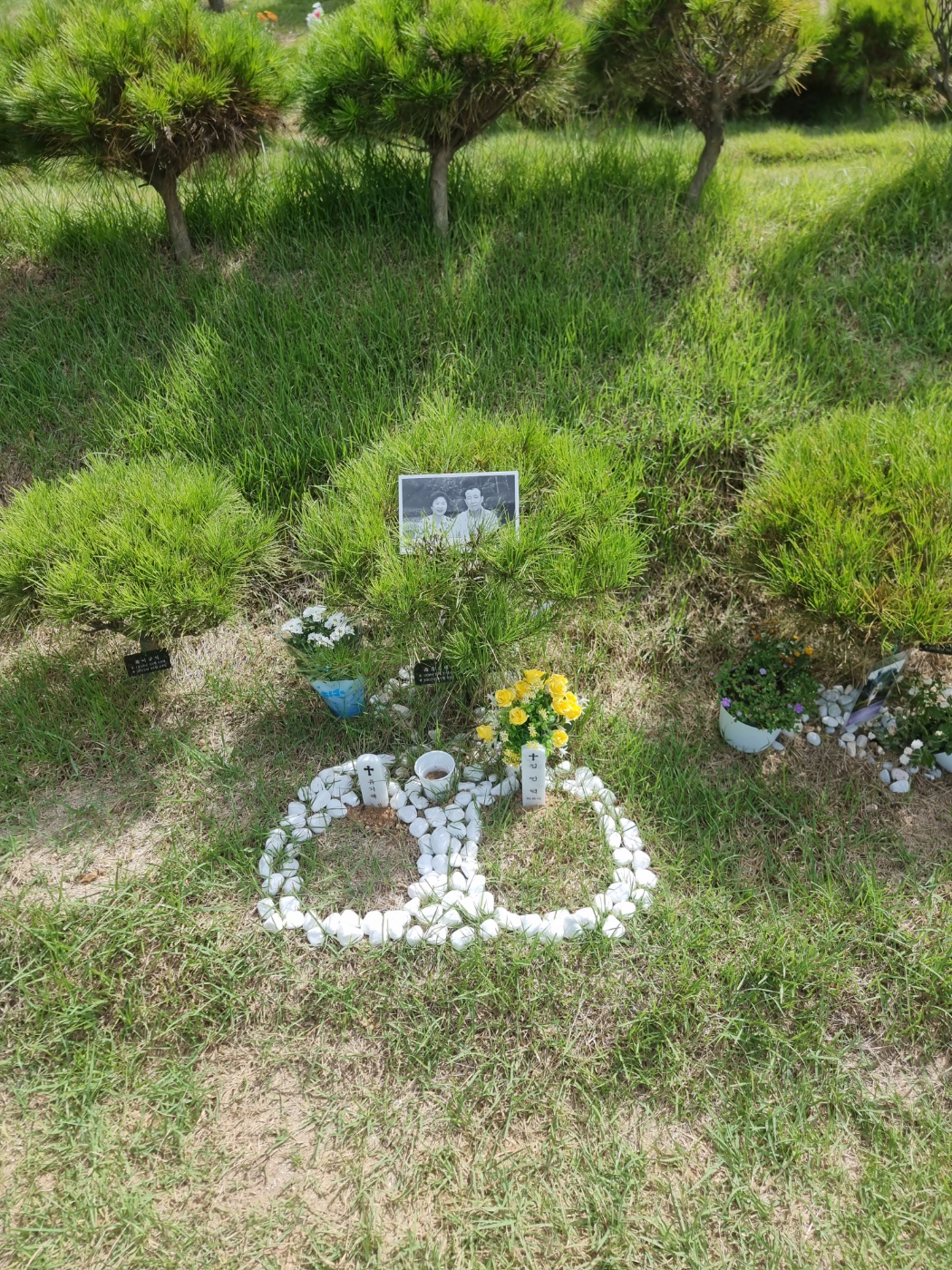 기독교수목장
